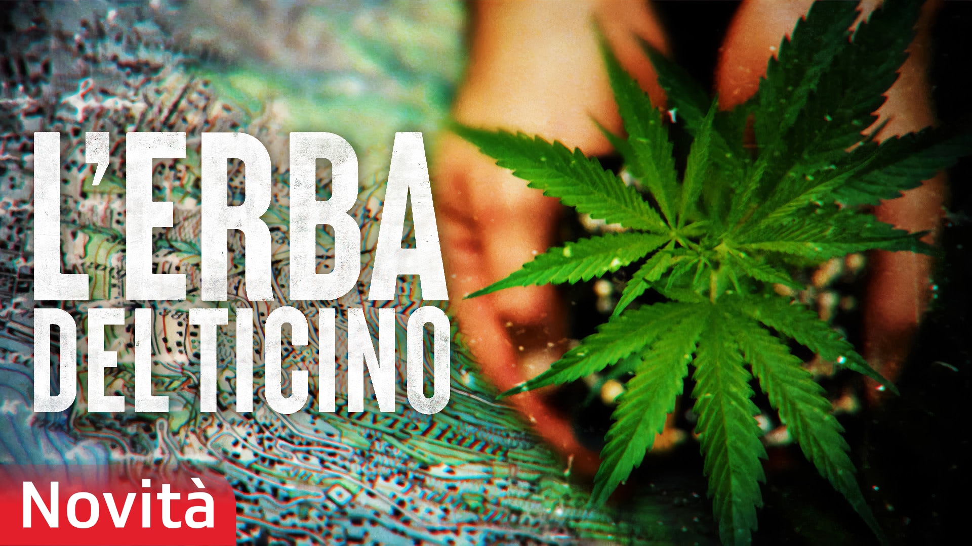 L'erba del Ticino