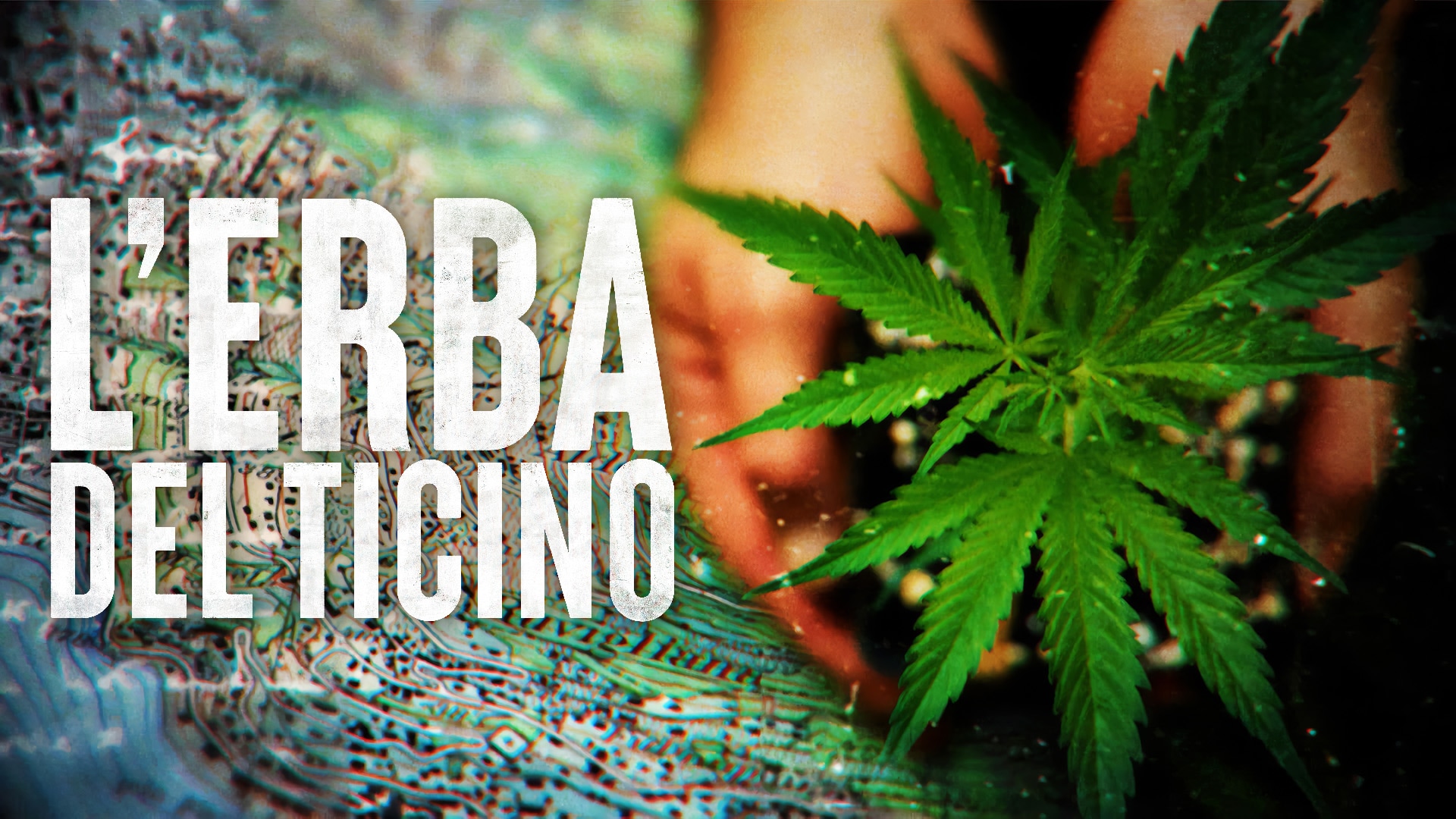 L'erba del Ticino