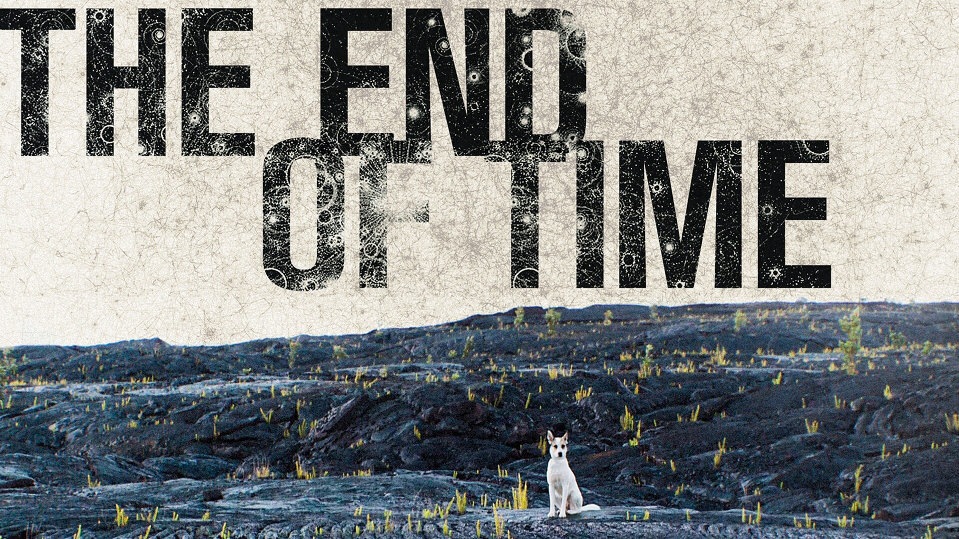 The End of Time