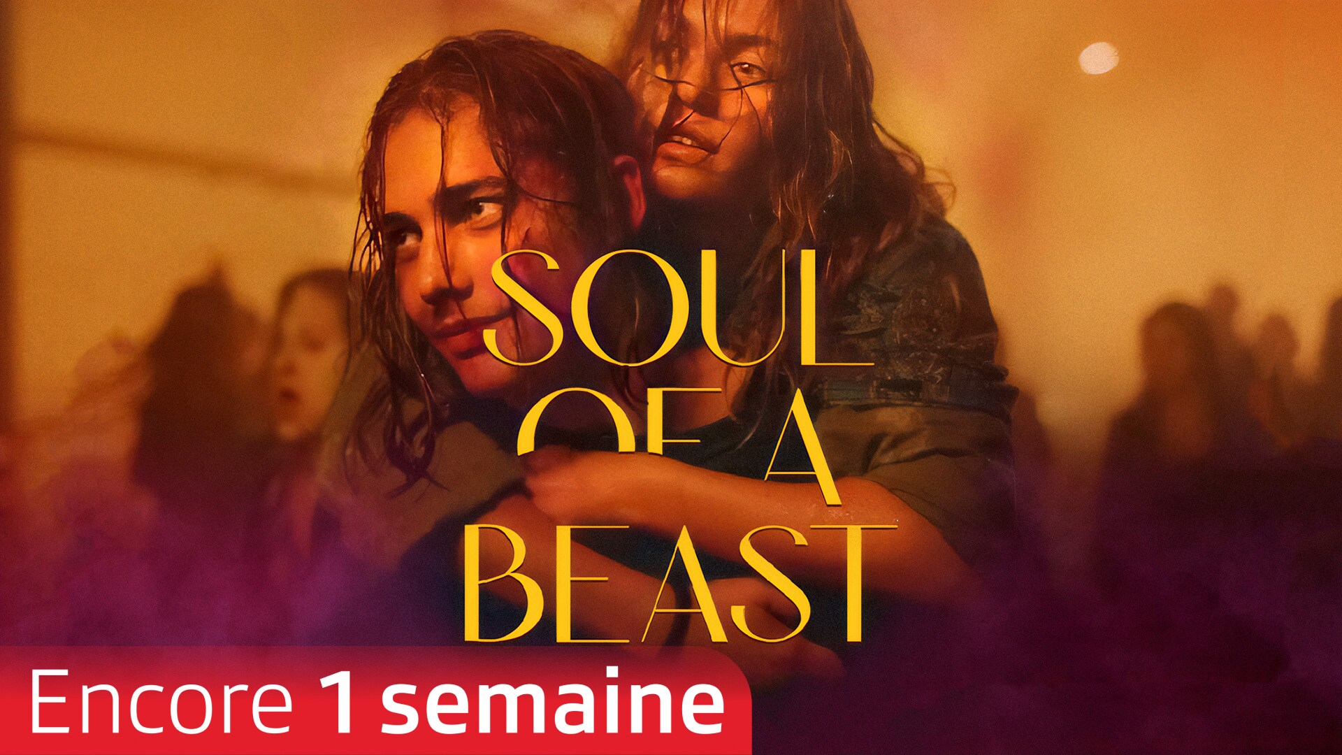 Soul of a Beast