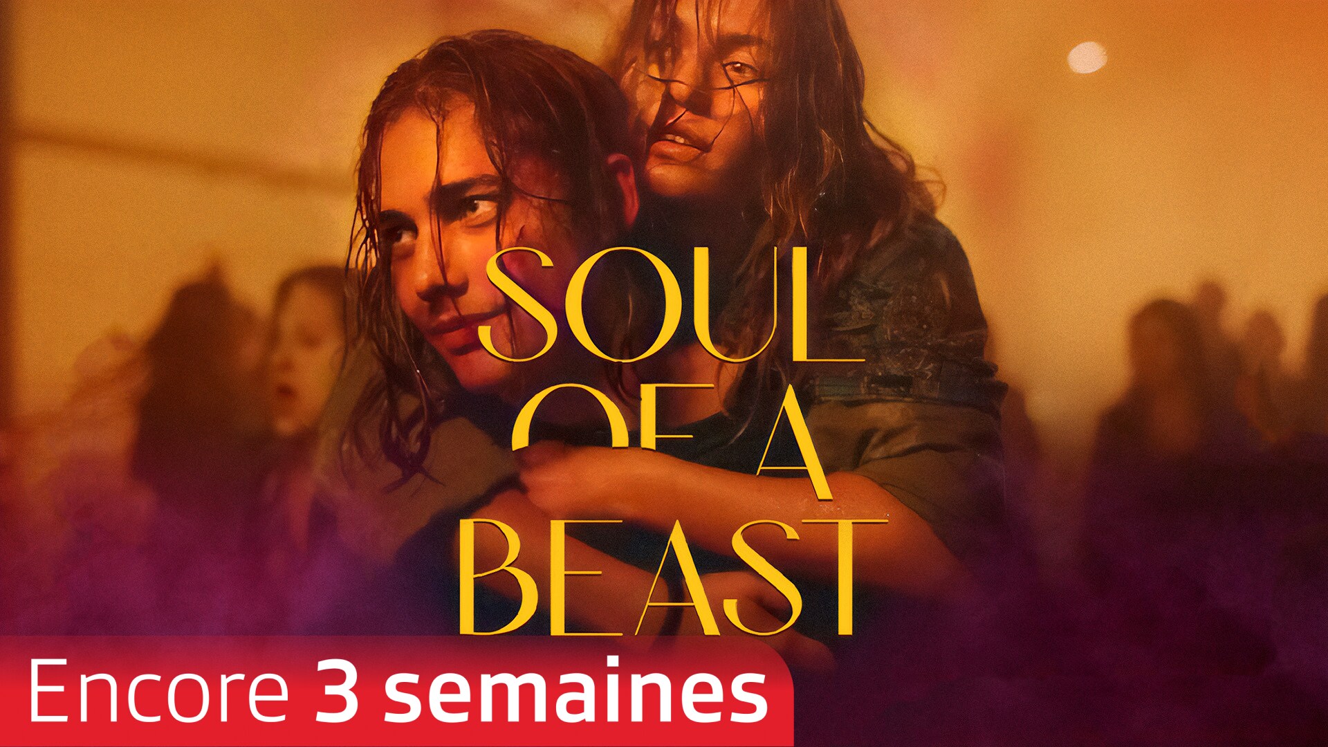 Soul of a Beast