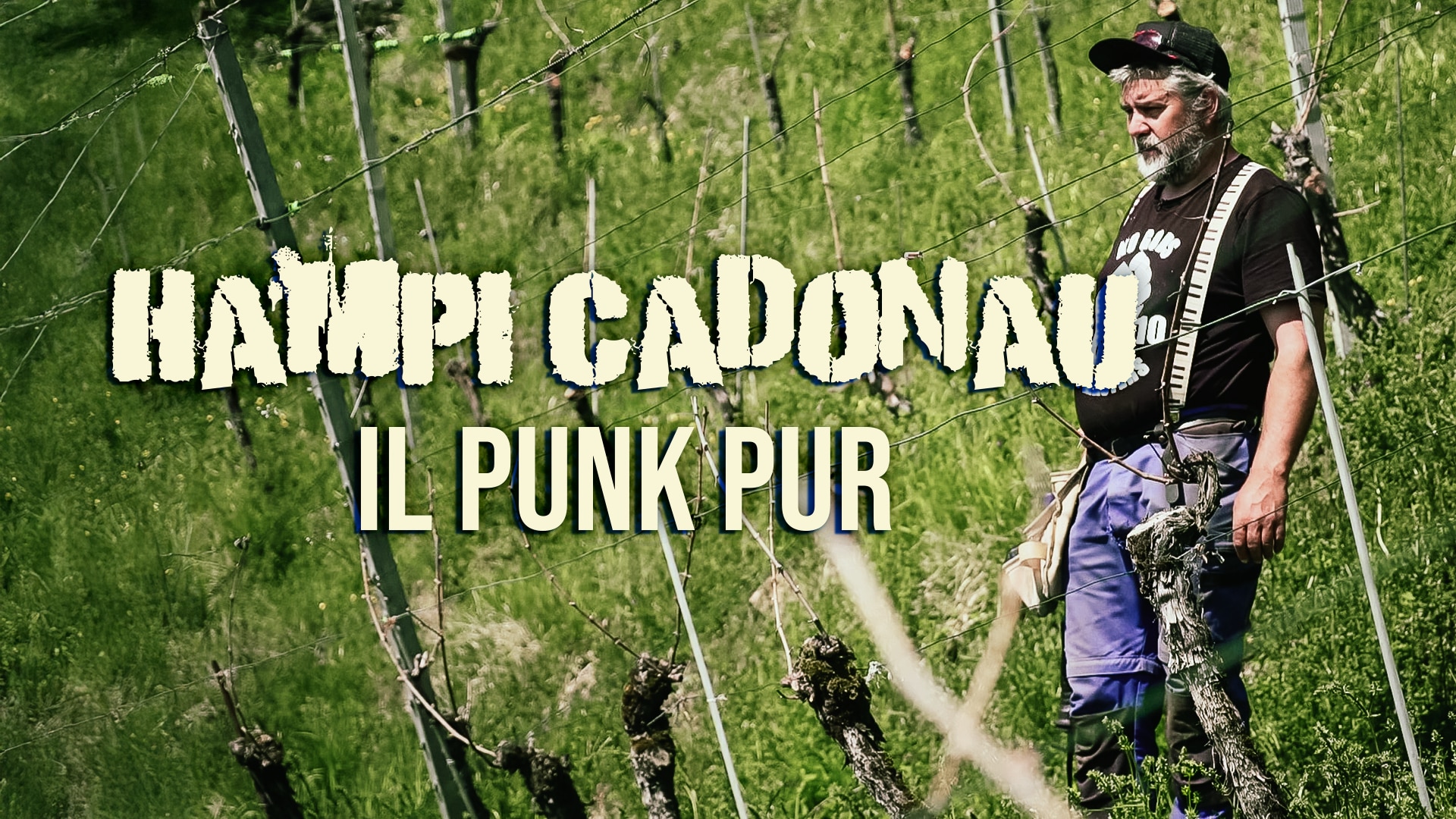 Hampi Cadonau - Il punk pur