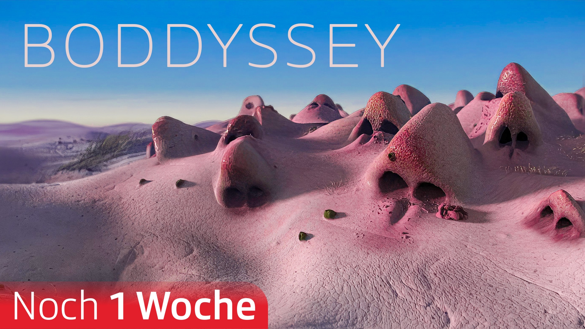 Boddyssey