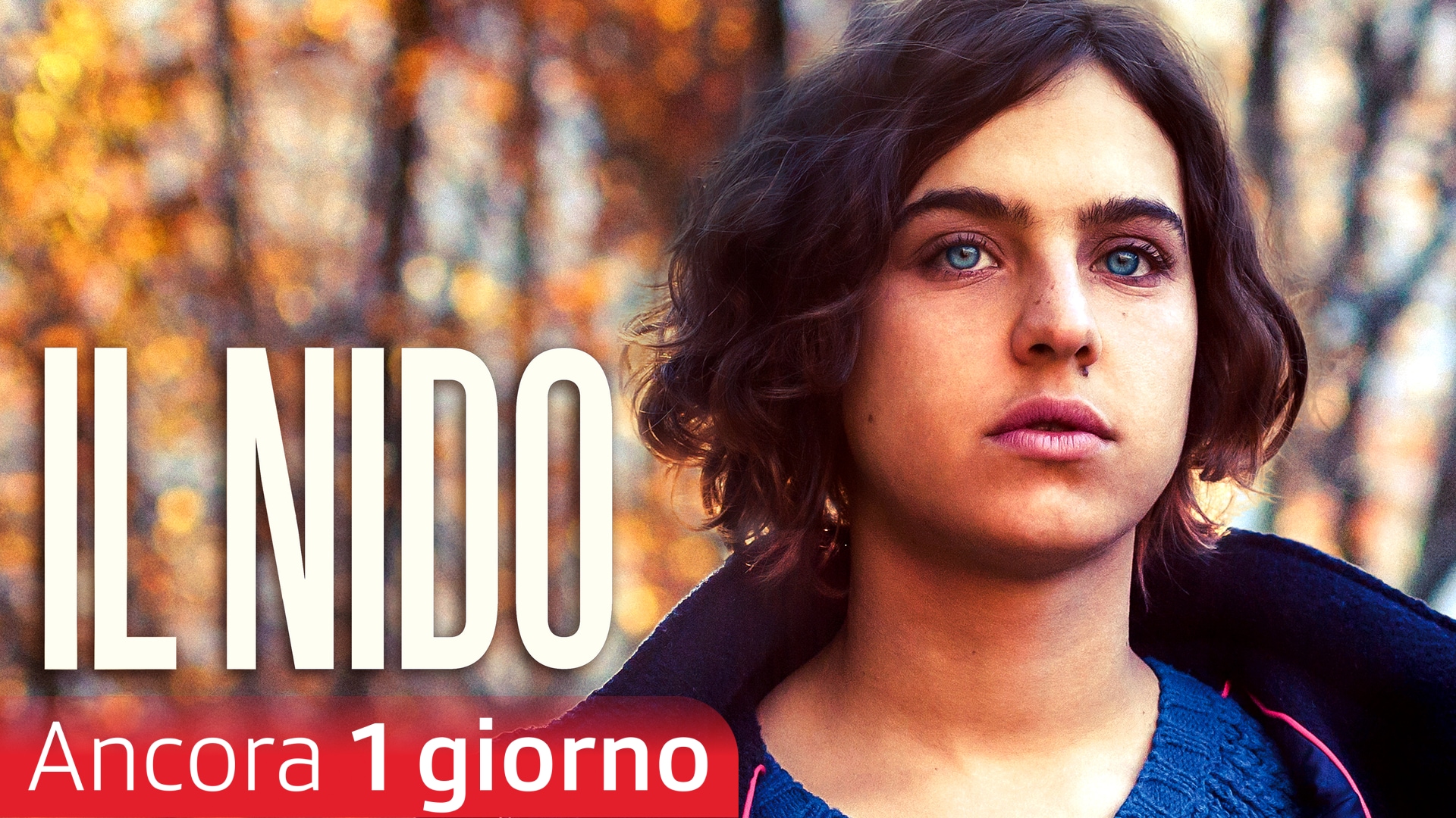 Il nido