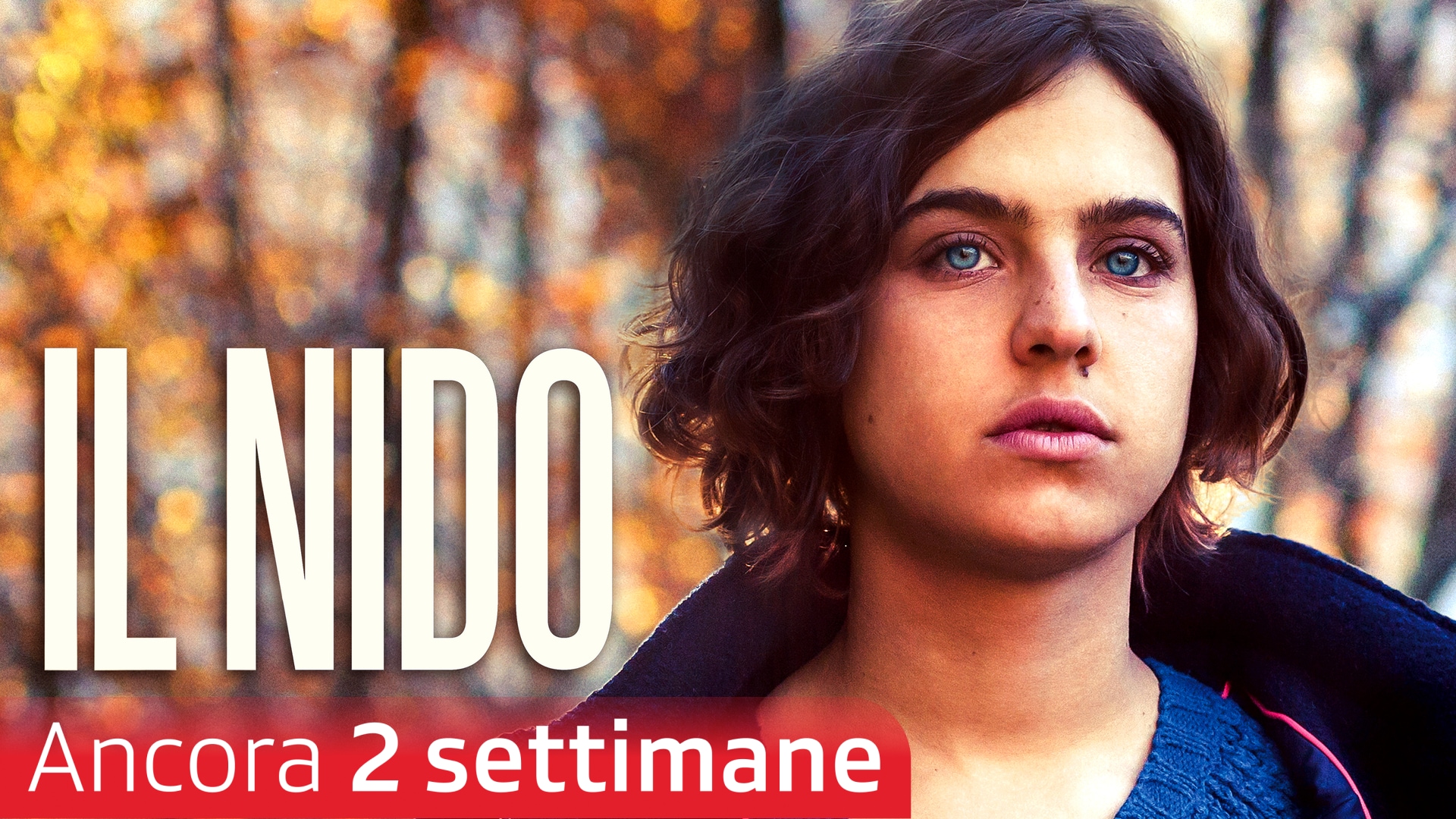 Il nido