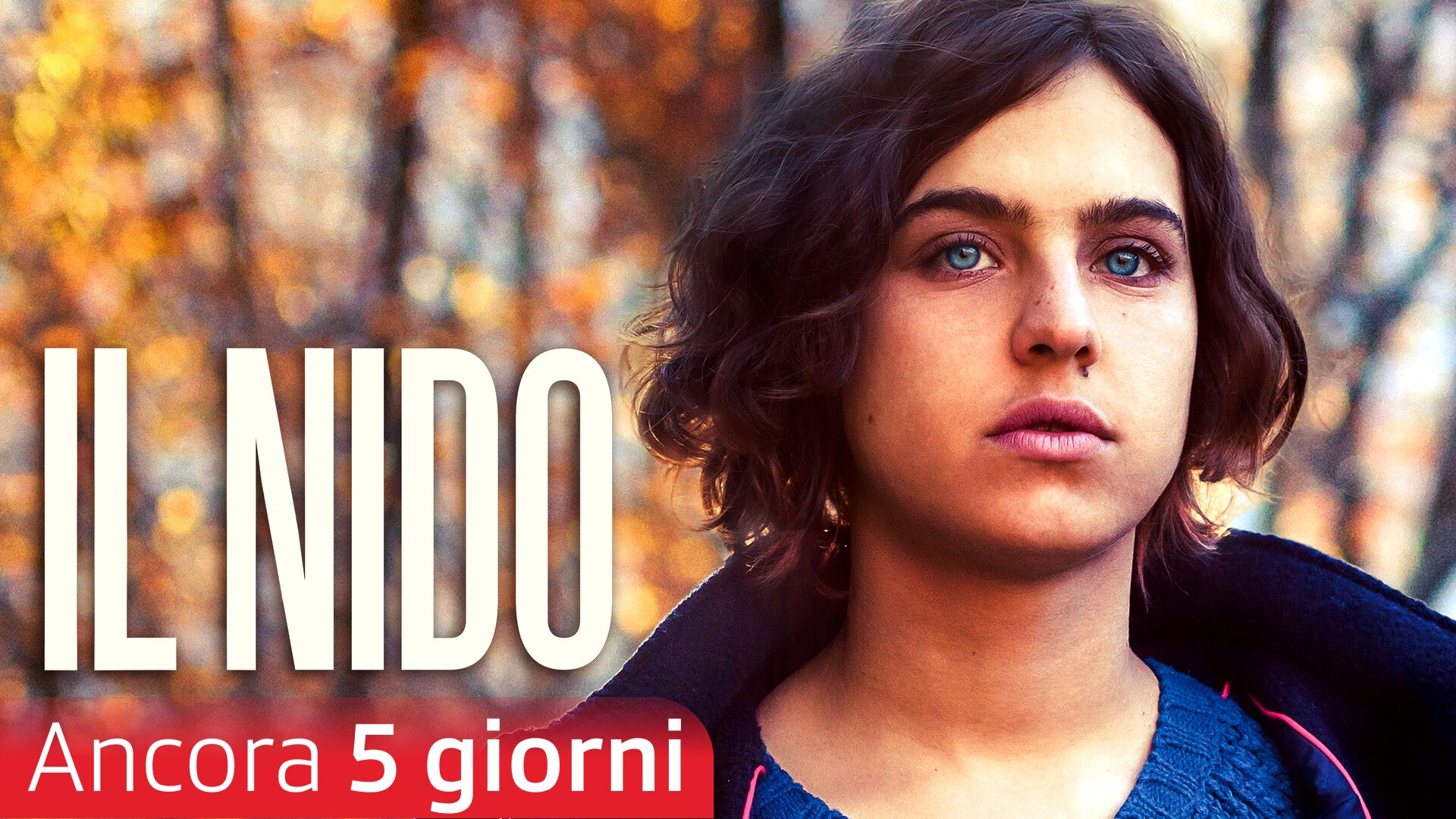 Il nido