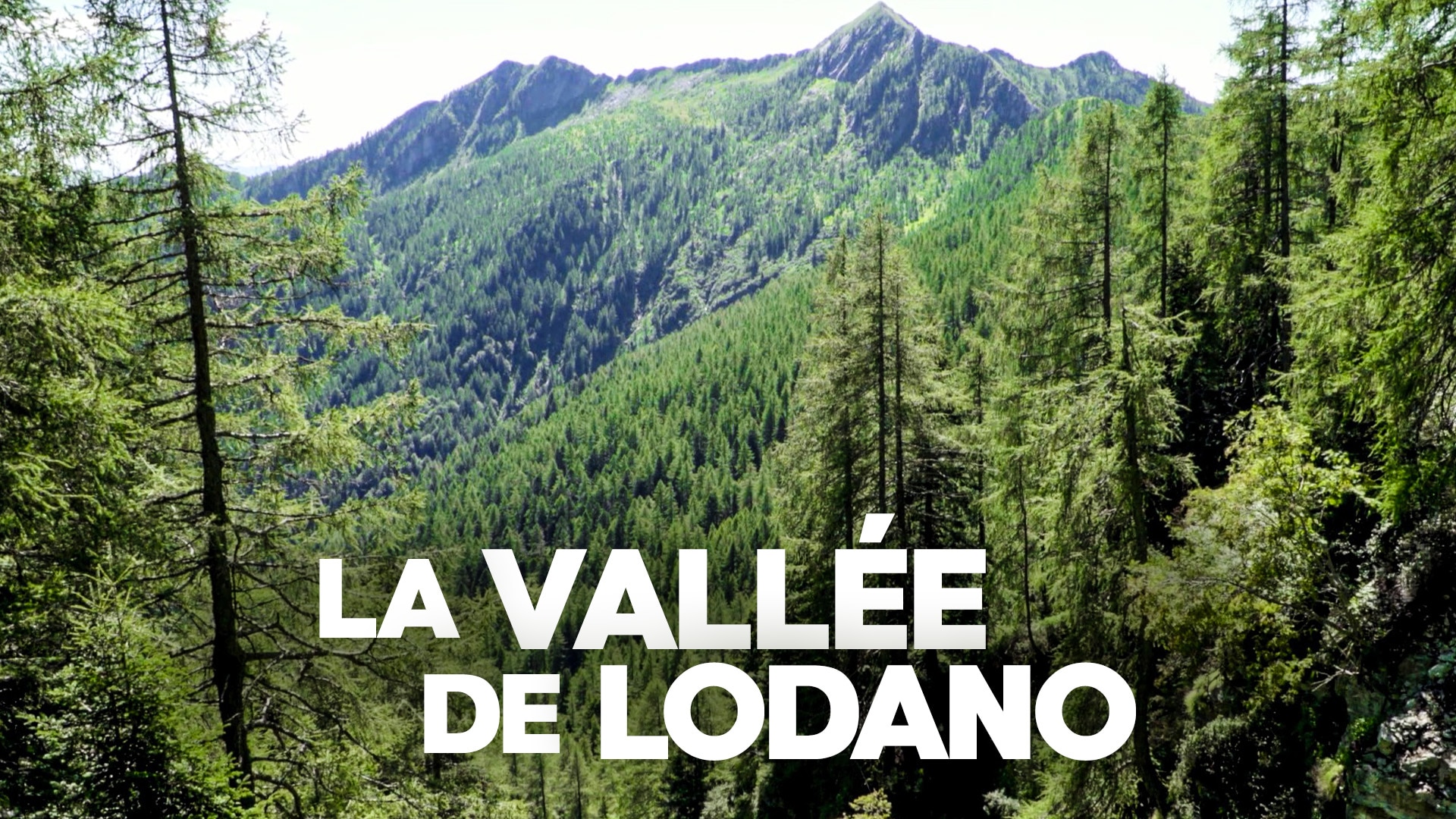 La vallée de Lodano