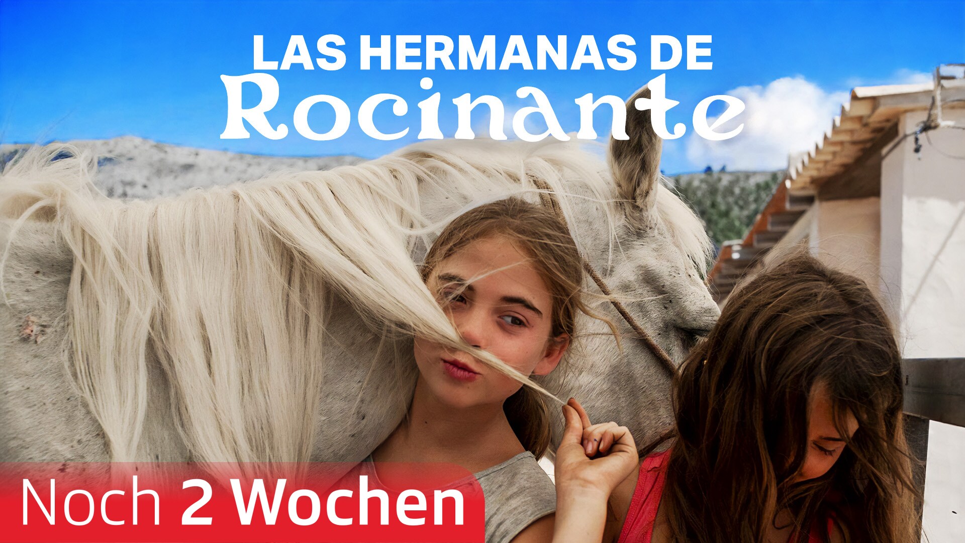 Las hermanas de Rocinante
