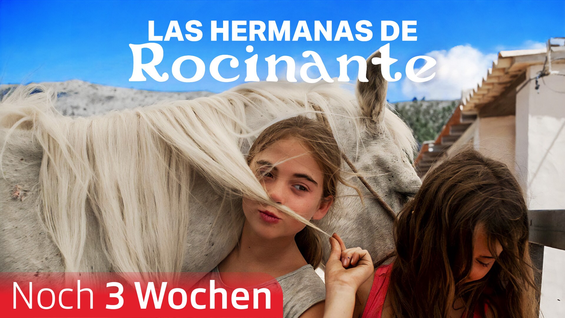 Las hermanas de Rocinante