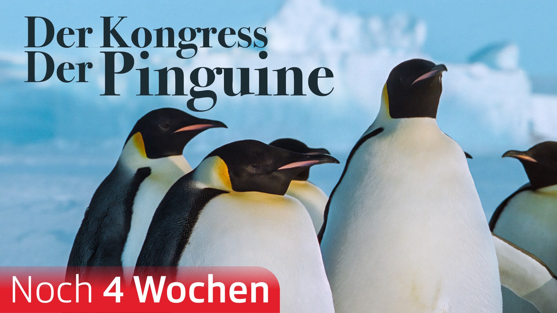Der Kongress der Pinguine
