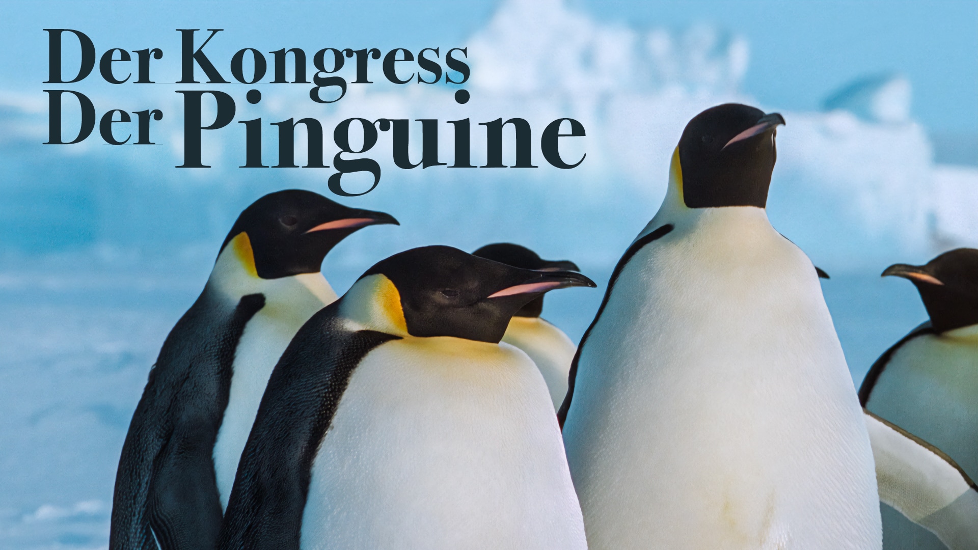 Der Kongress der Pinguine