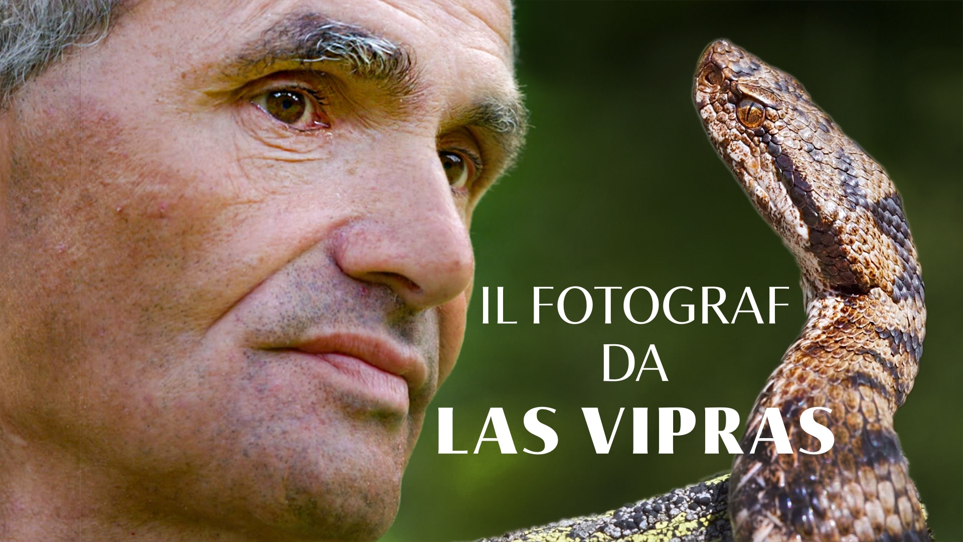 Il fotograf da las vipras