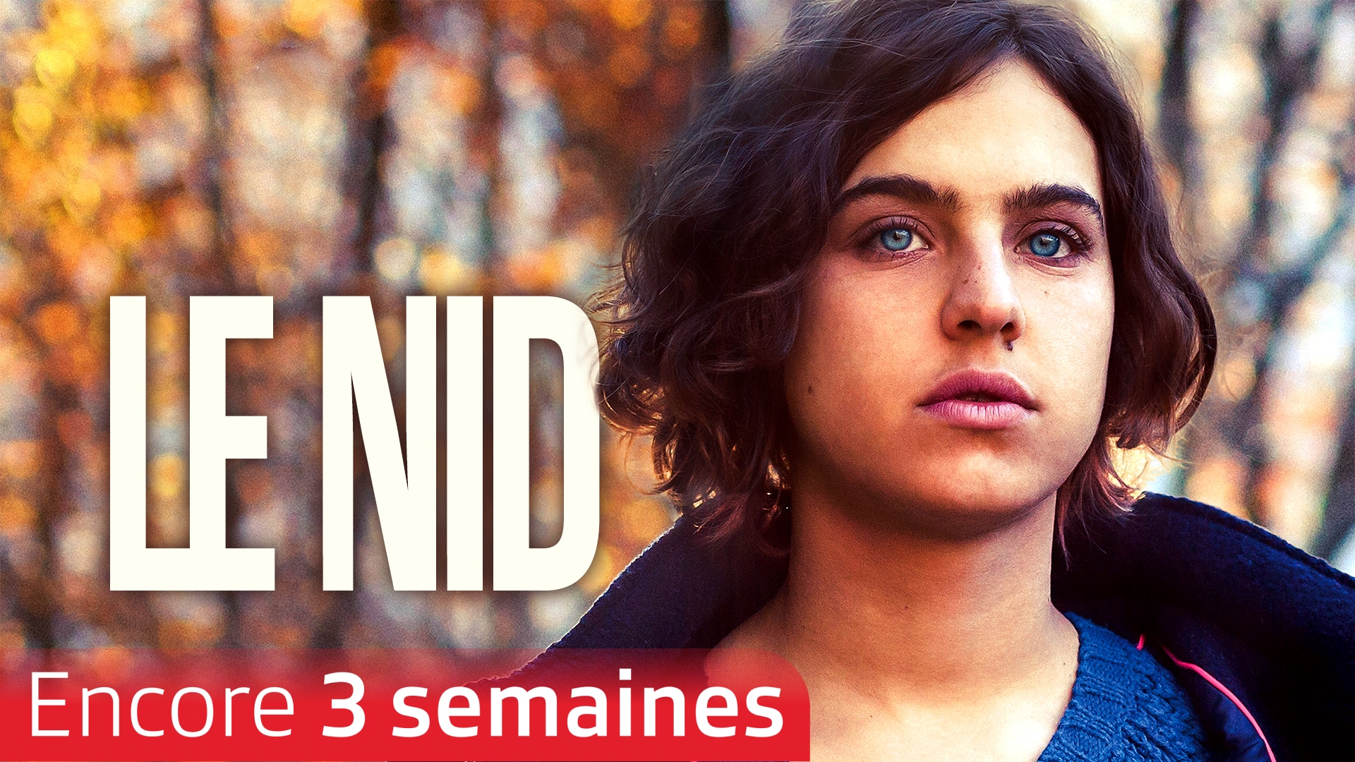 Le nid