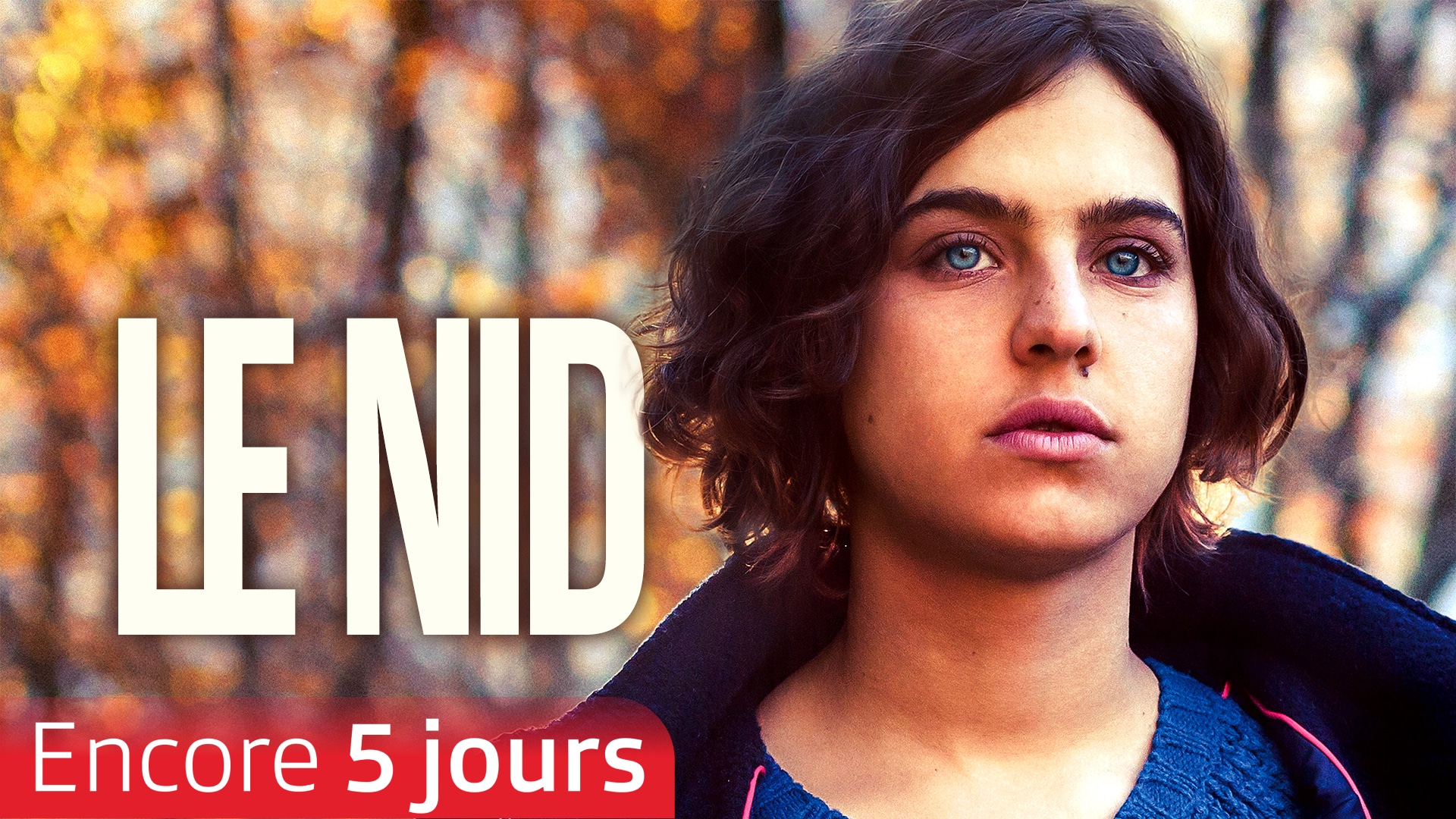 Le nid