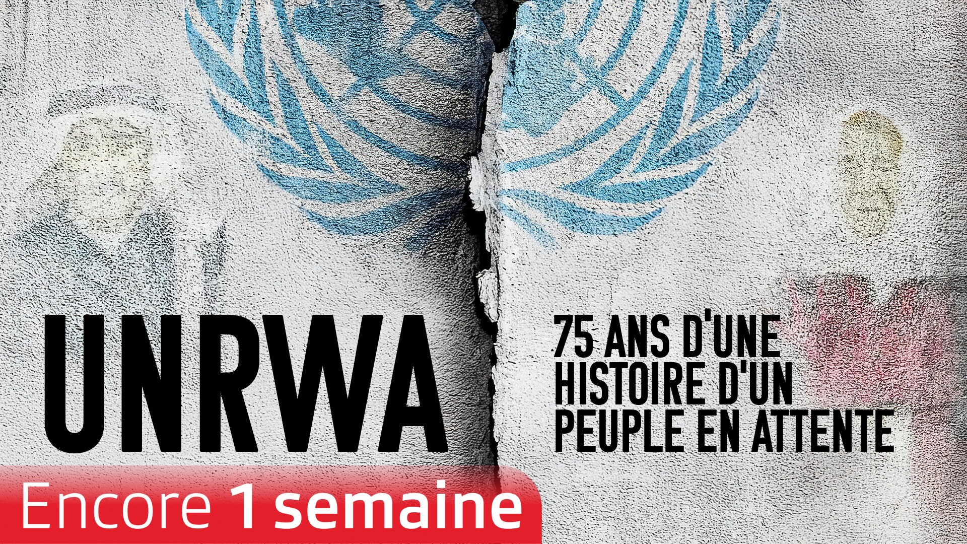 UNRWA, 75 ans d’une histoire provisoire