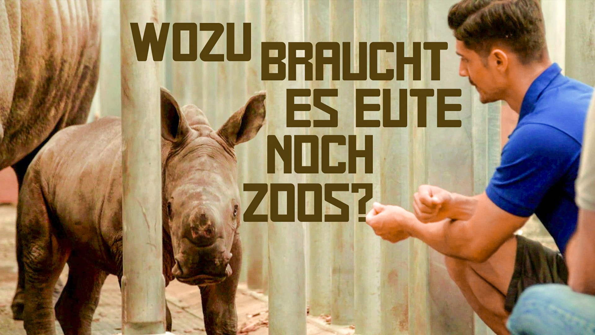 Wozu braucht es heute noch Zoos?