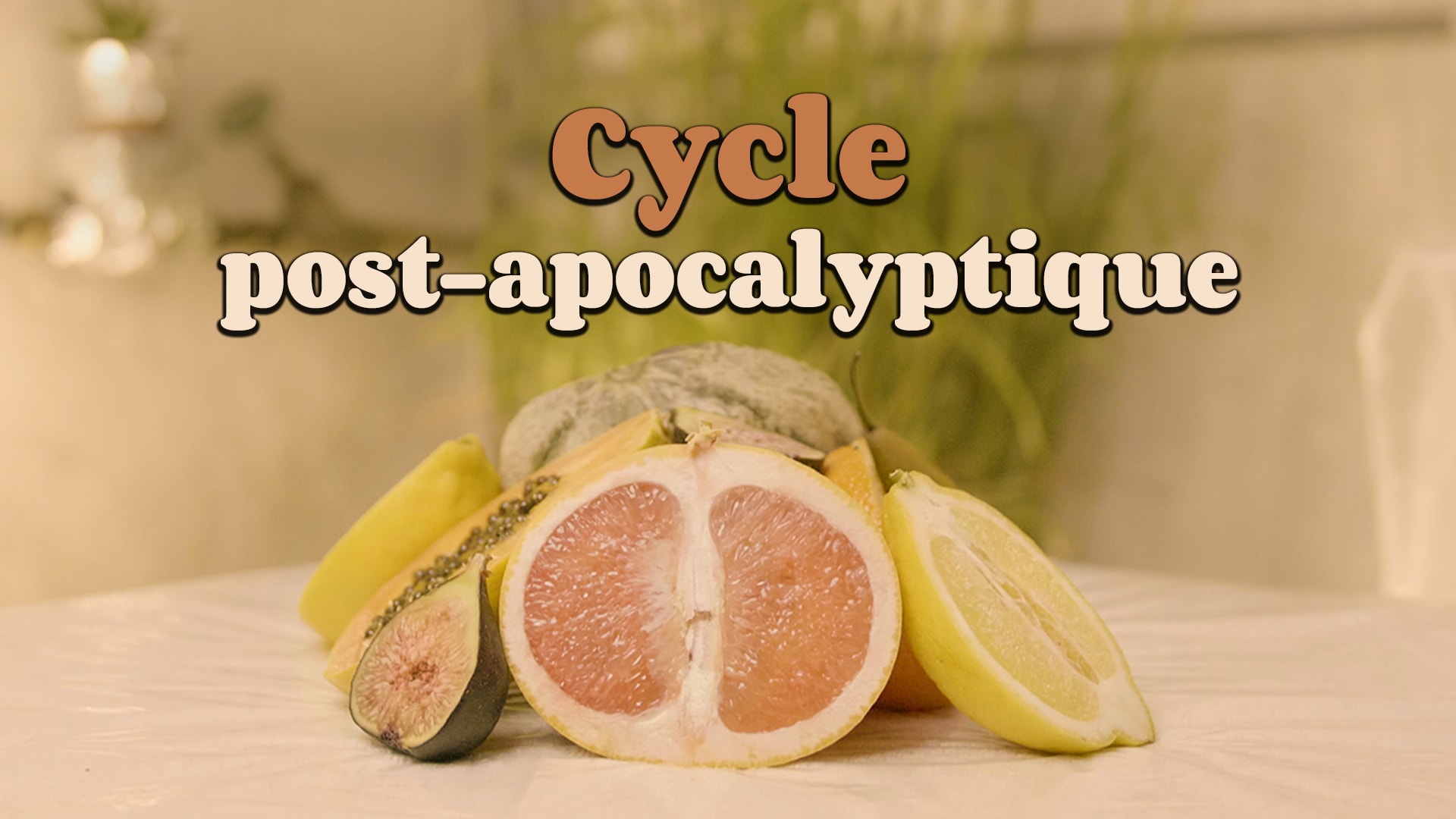 Cycle post-apocalyptique