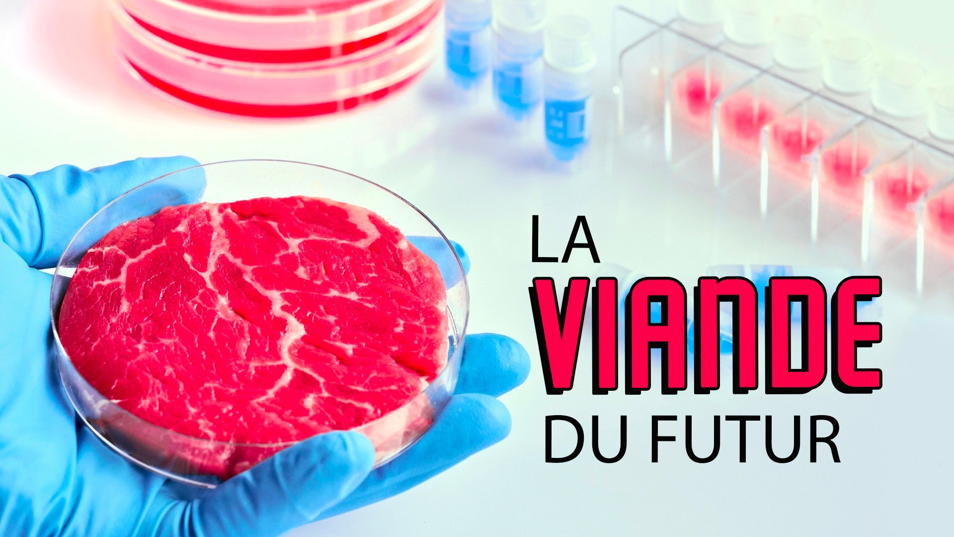 La viande du futur