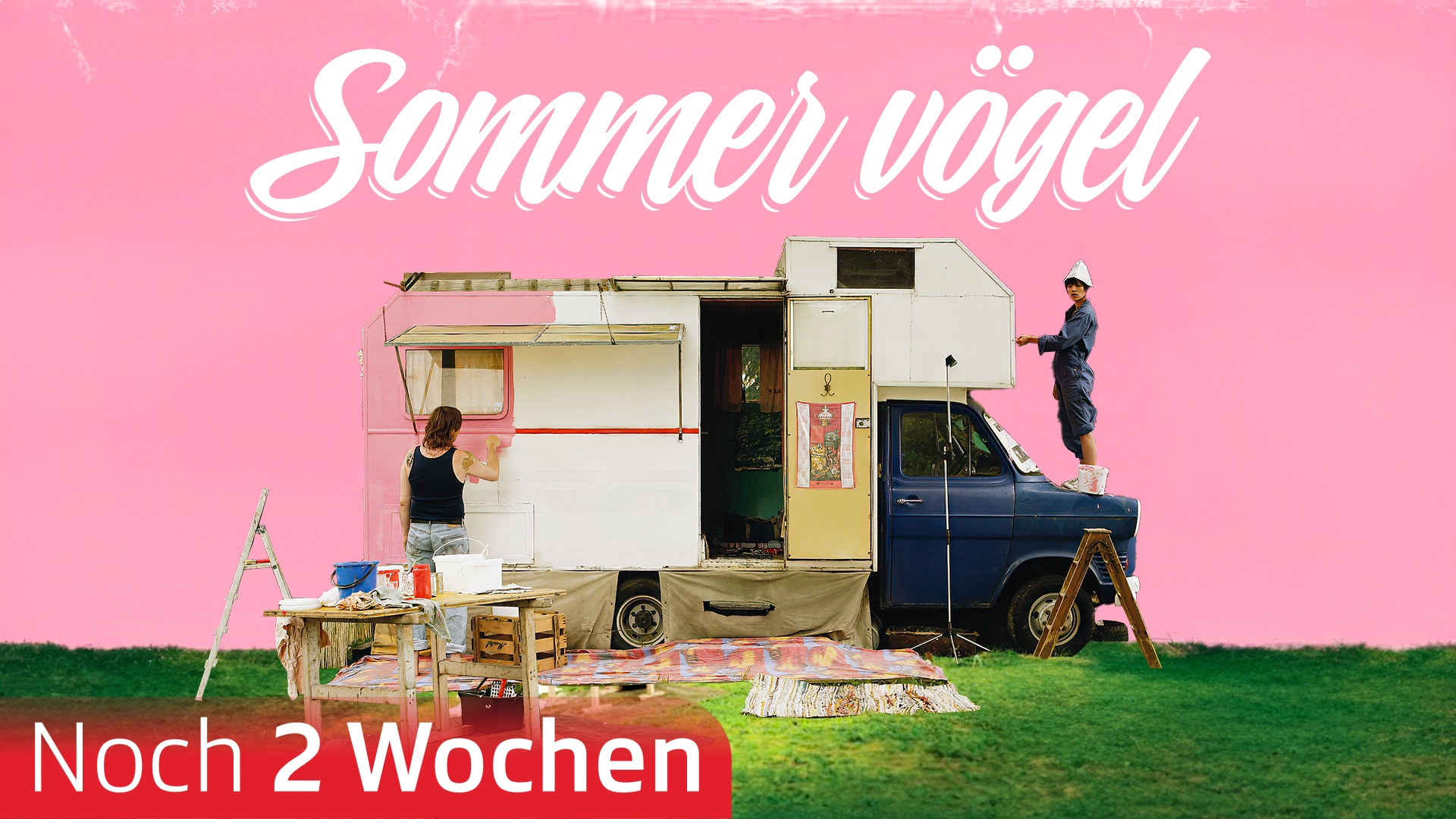 Sommervögel