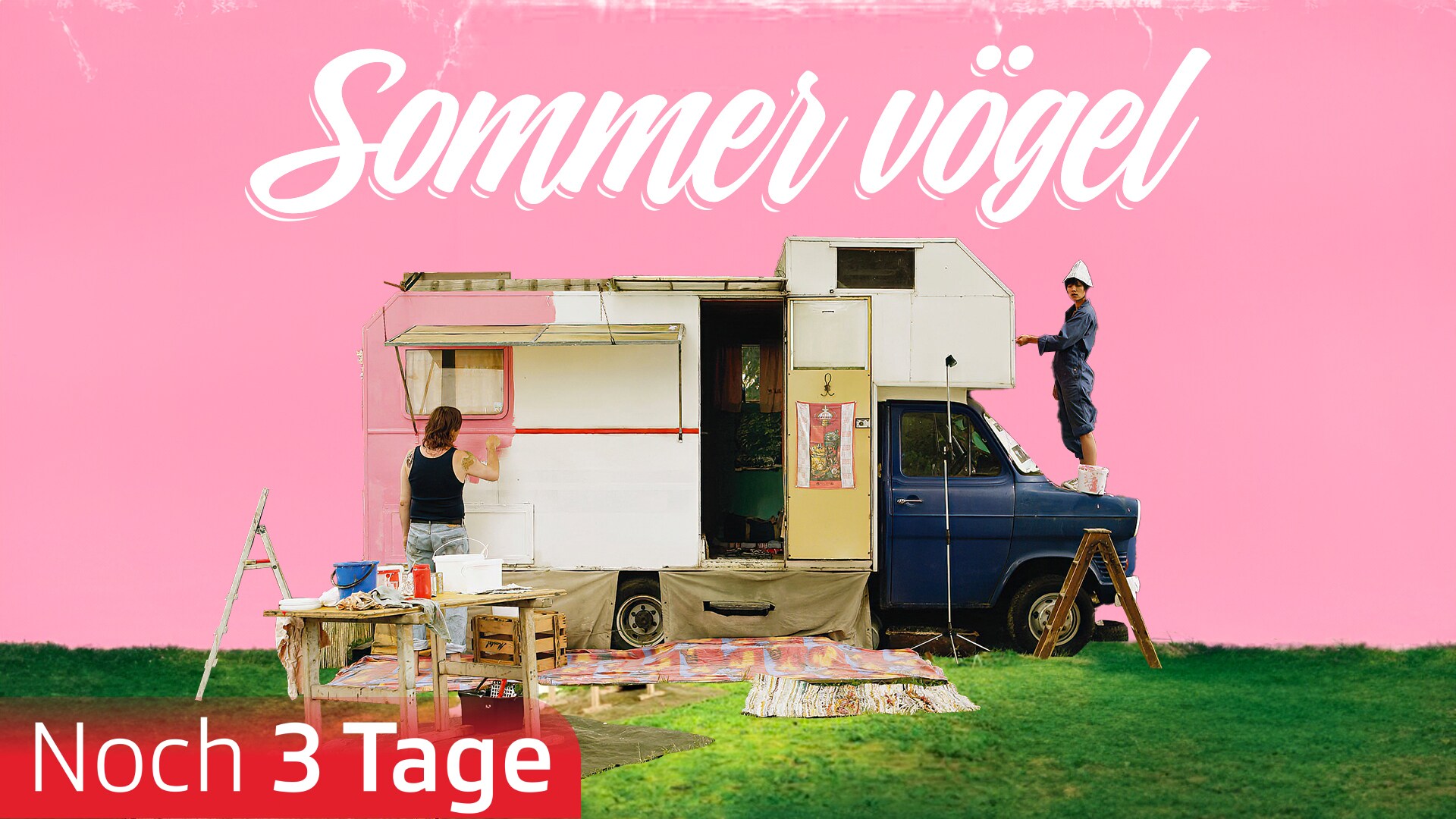 Sommervögel