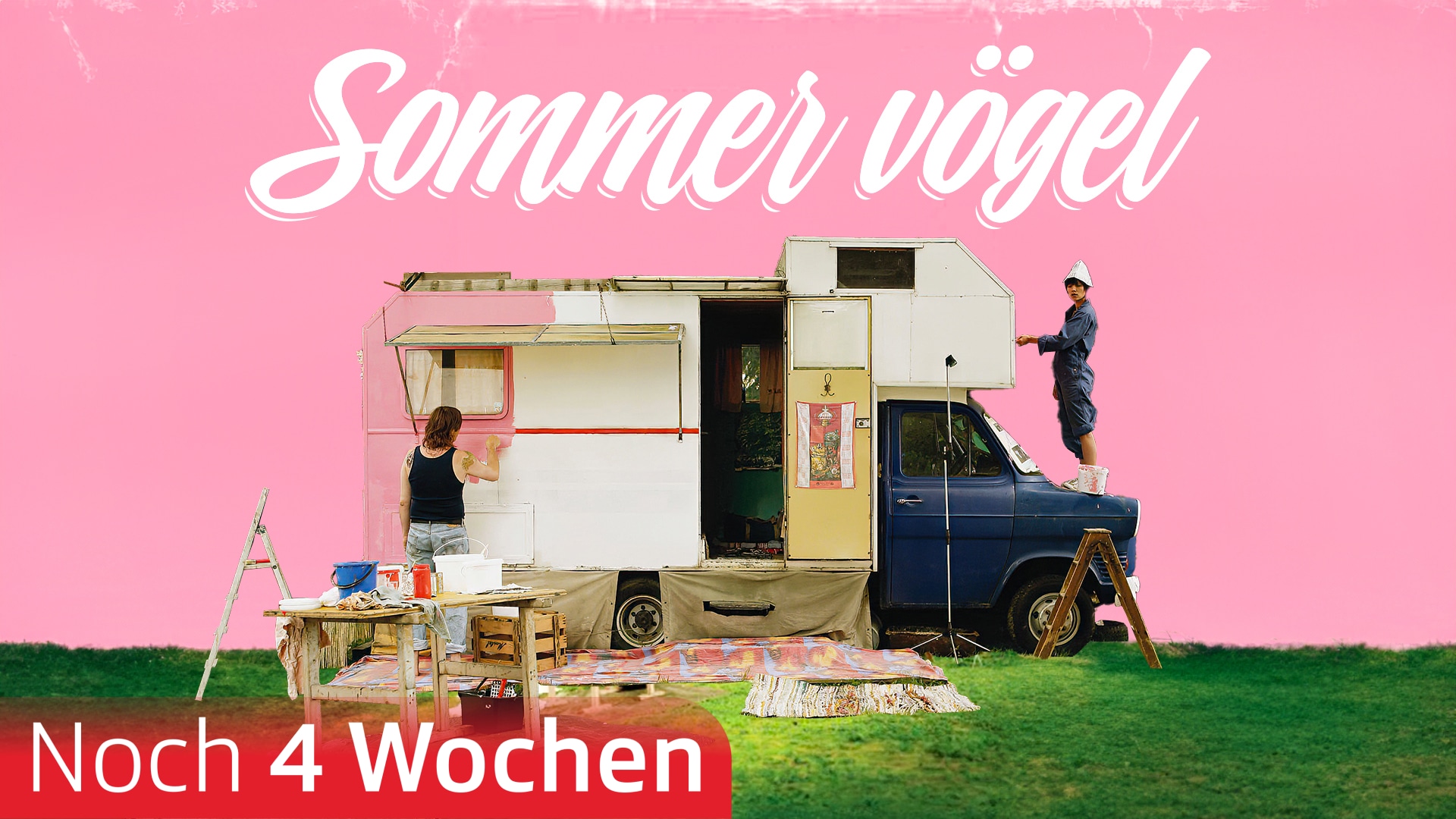Sommervögel