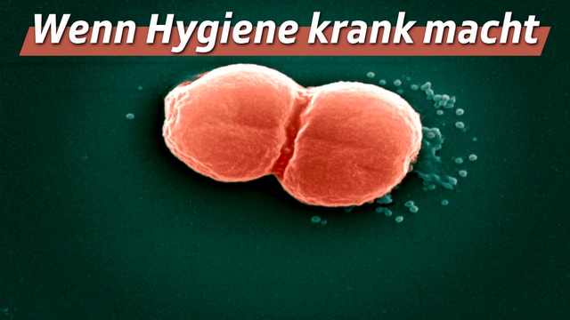 Wenn Hygiene krank macht