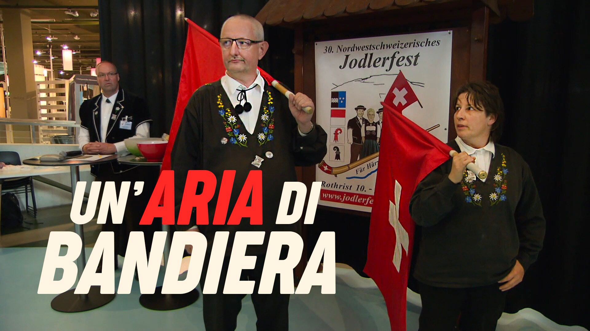 Un'aria di bandiera