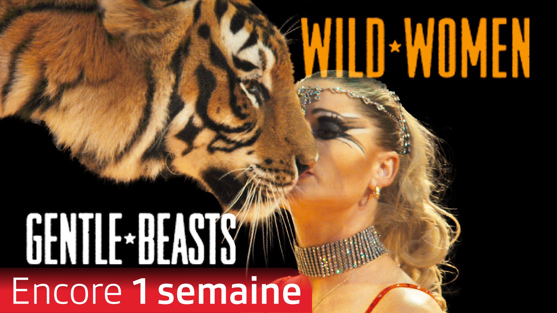 Les belles et les bêtes