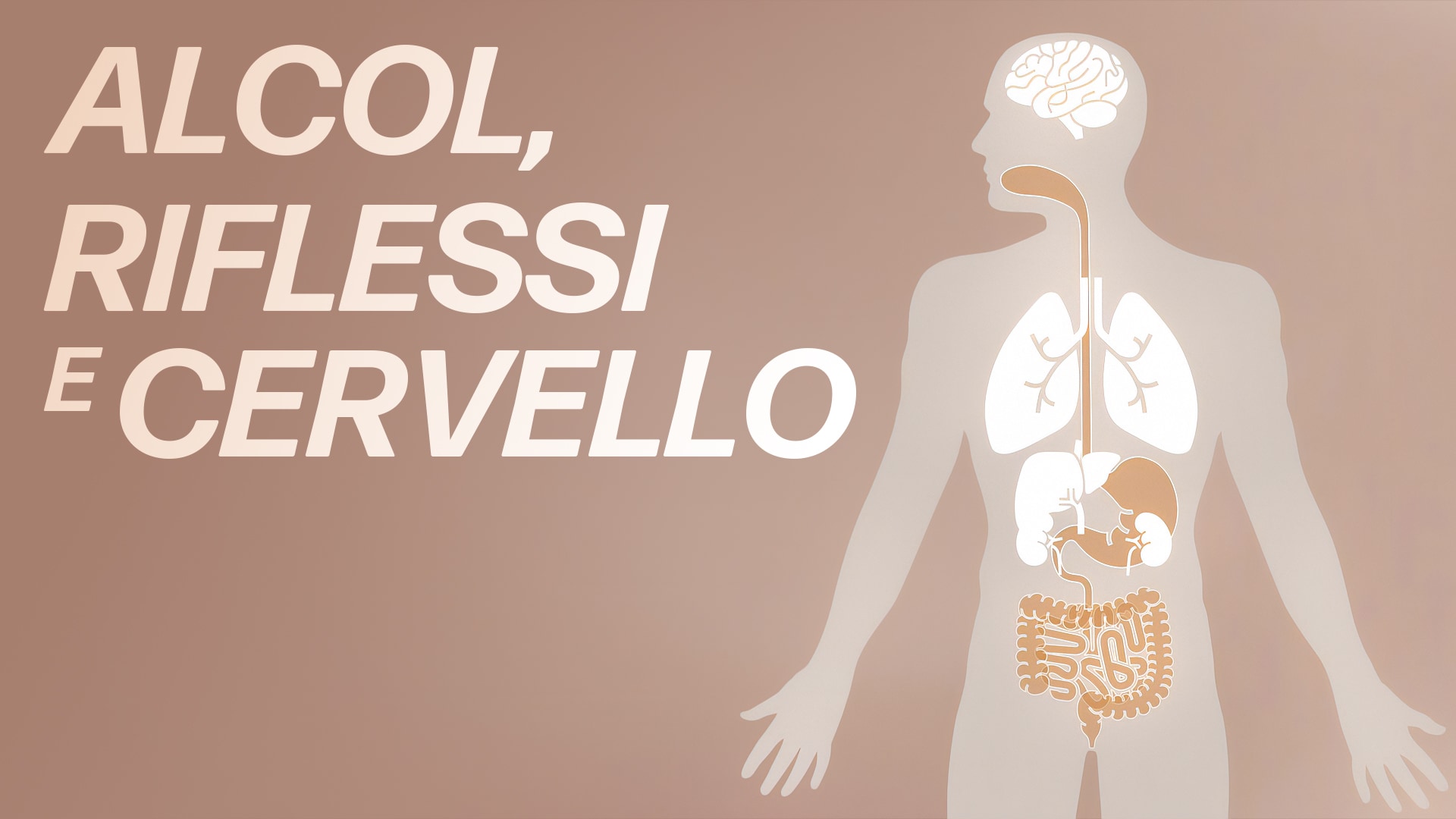 Alcol, riflessi e cervello