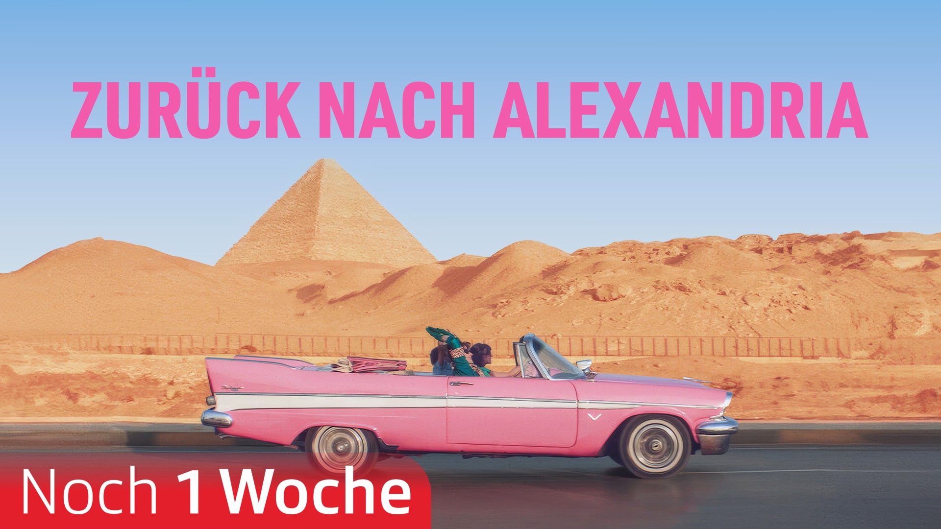 Zurück nach Alexandria
