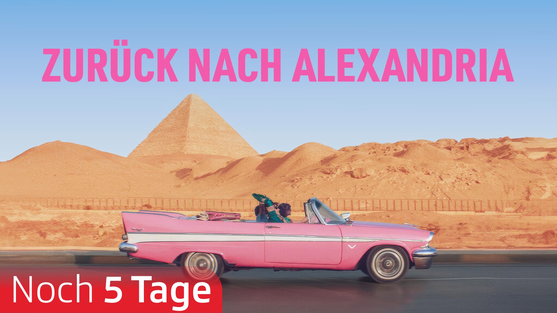 Zurück nach Alexandria