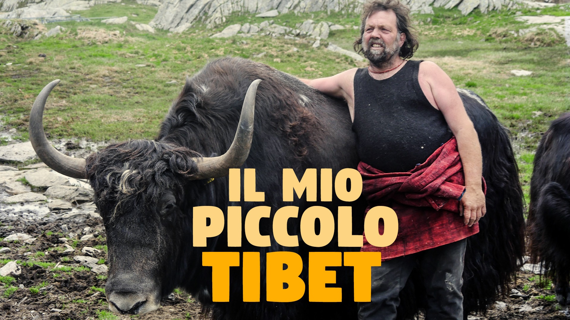 Il mio piccolo Tibet