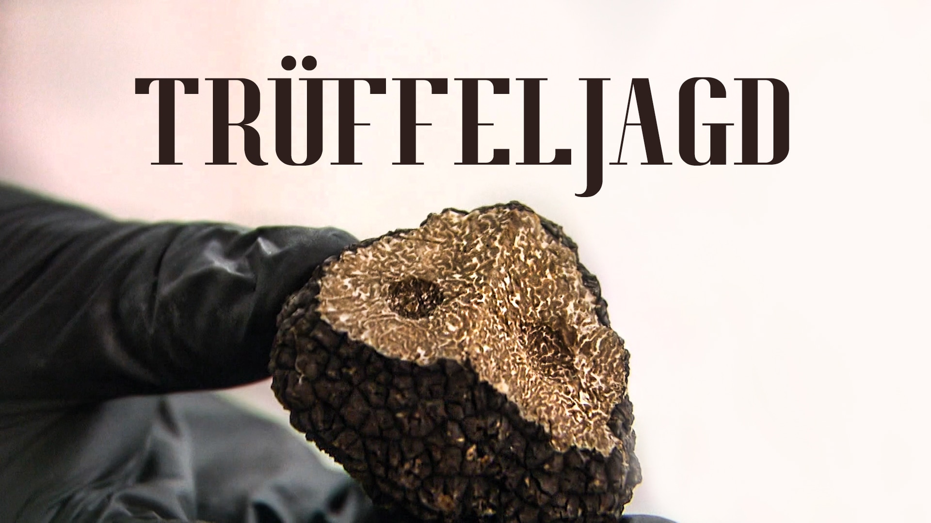 Trüffeljagd