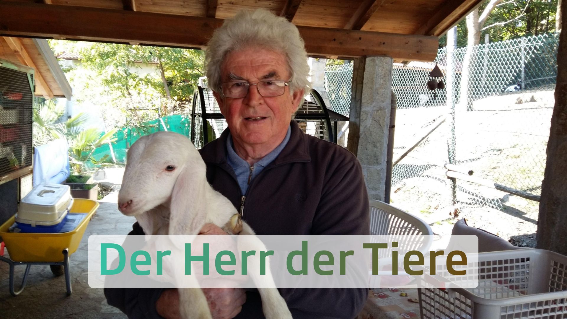 Der Herr der Tiere