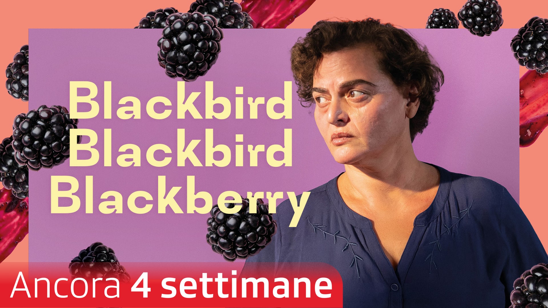 Blackbird Blackbird Blackberry