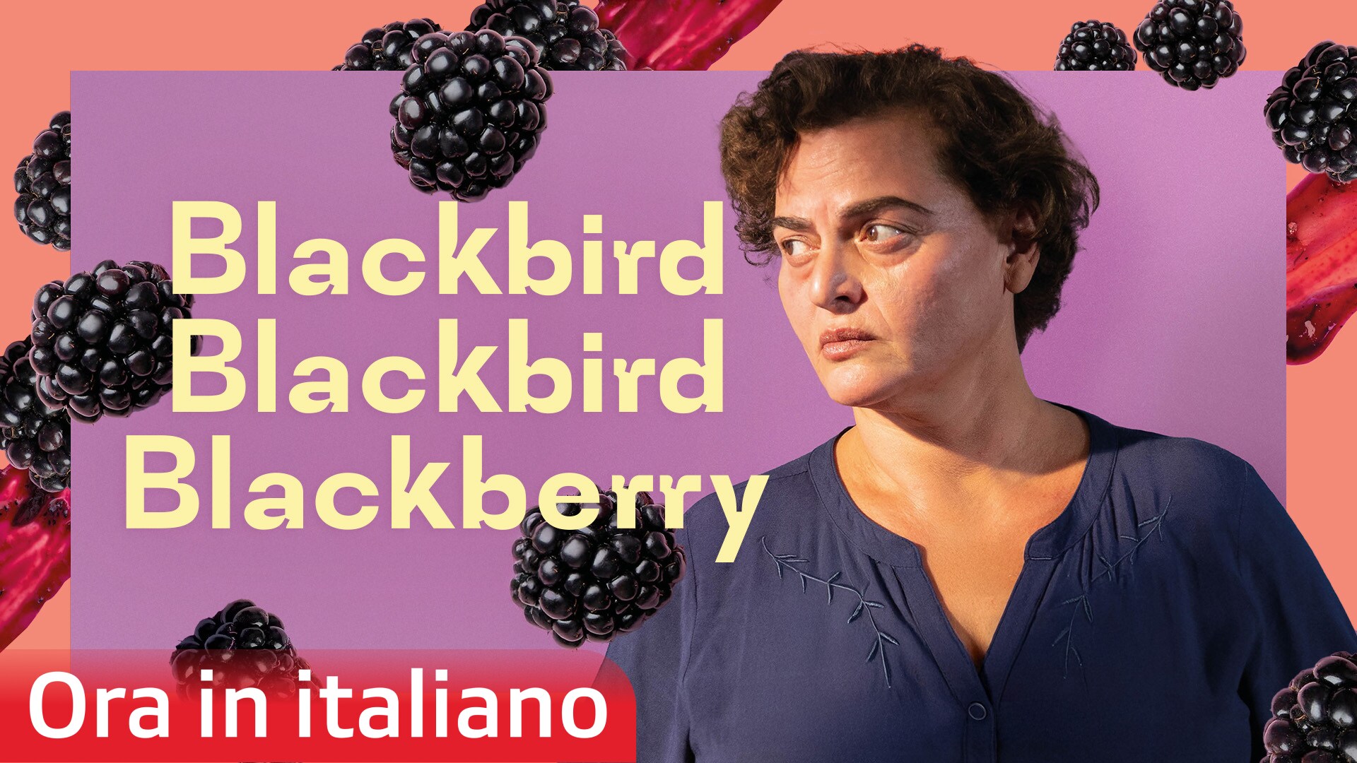 Blackbird Blackbird Blackberry