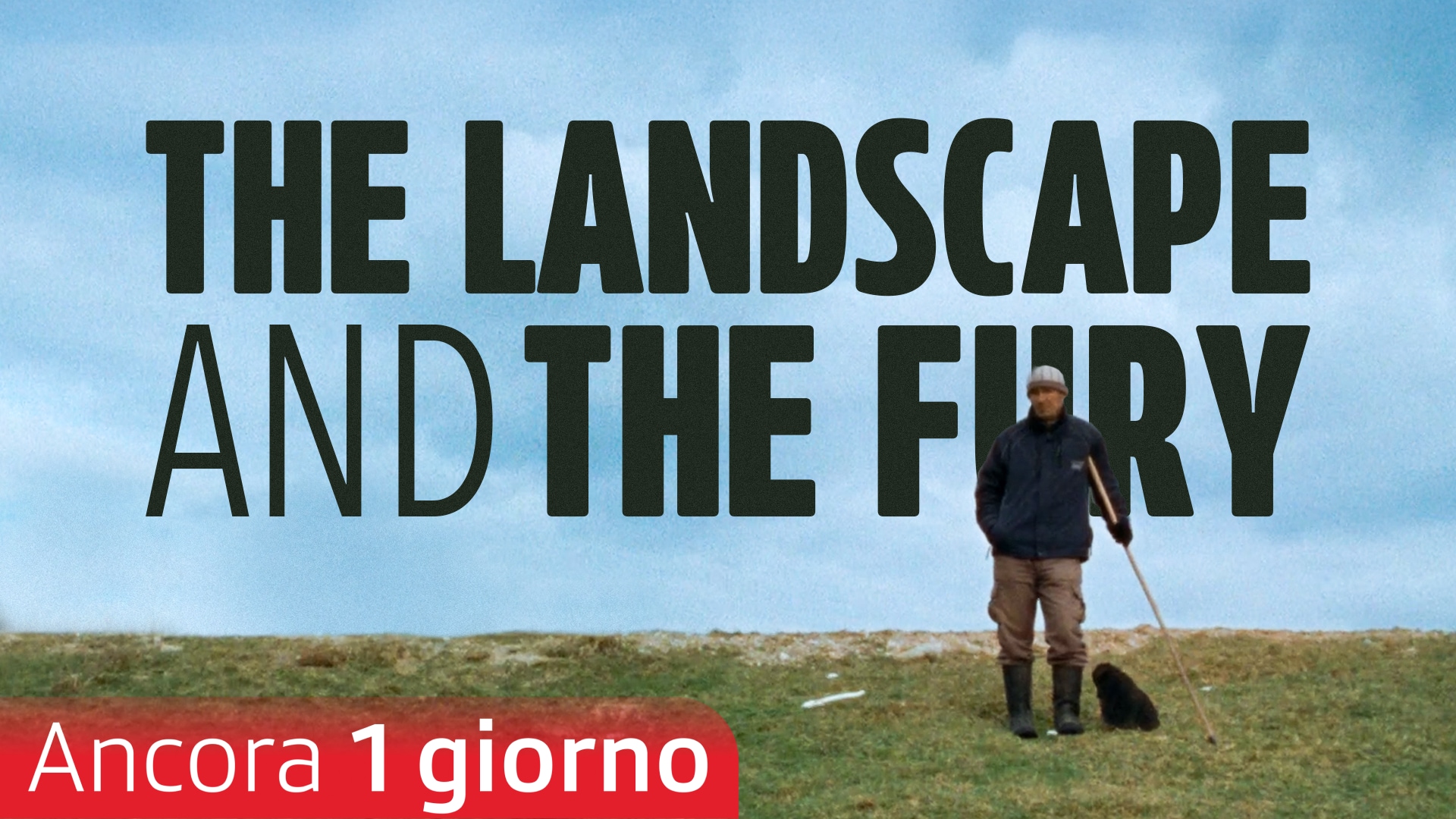 The Landscape and the Fury