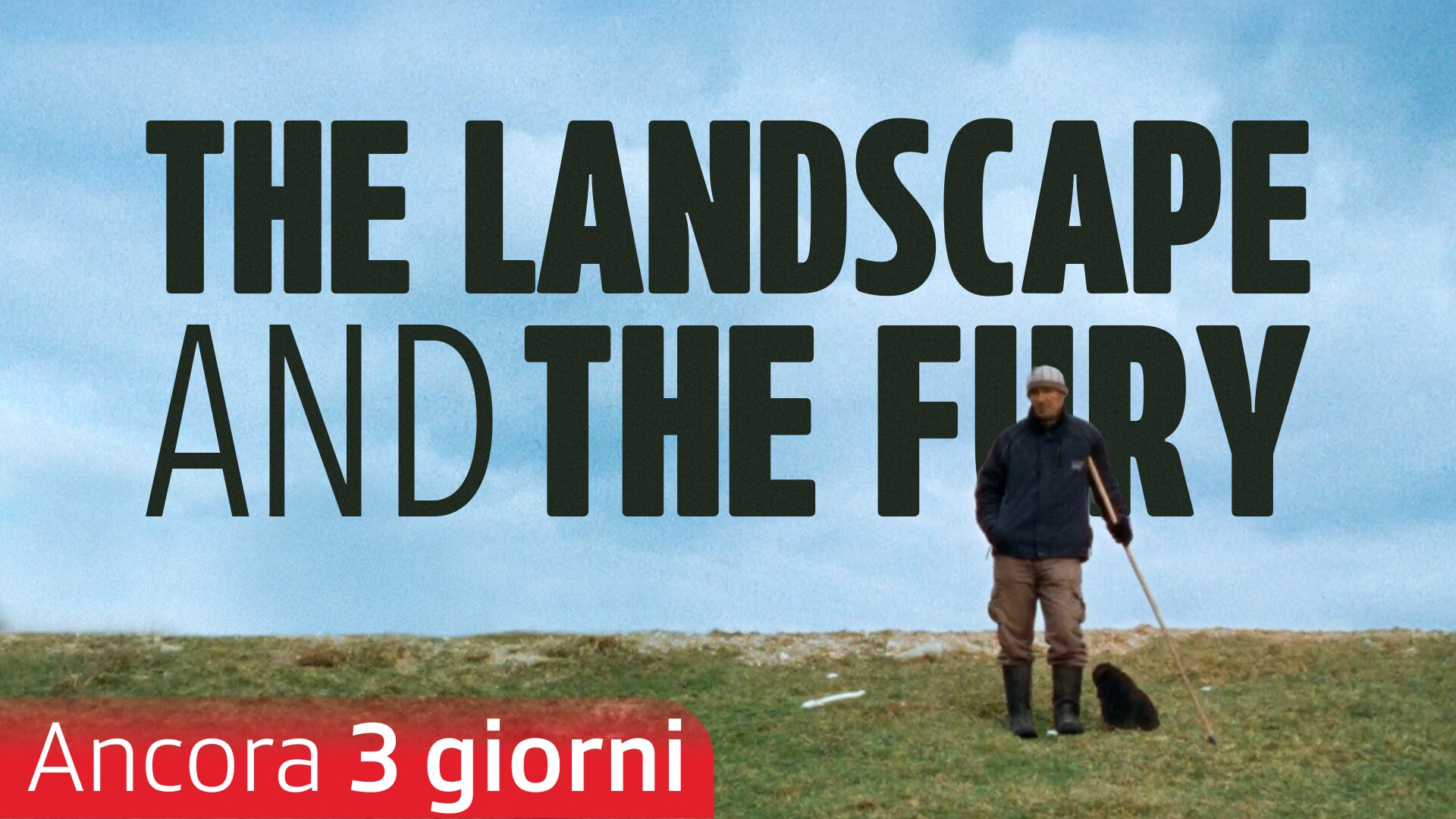 The Landscape and the Fury