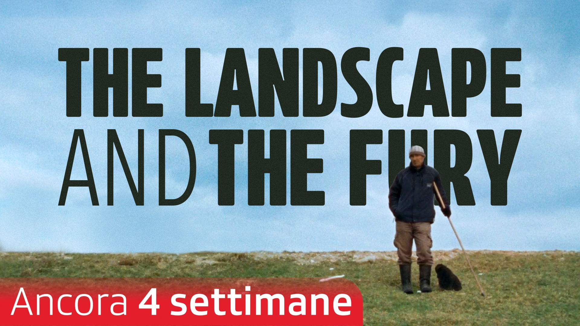 The Landscape and the Fury