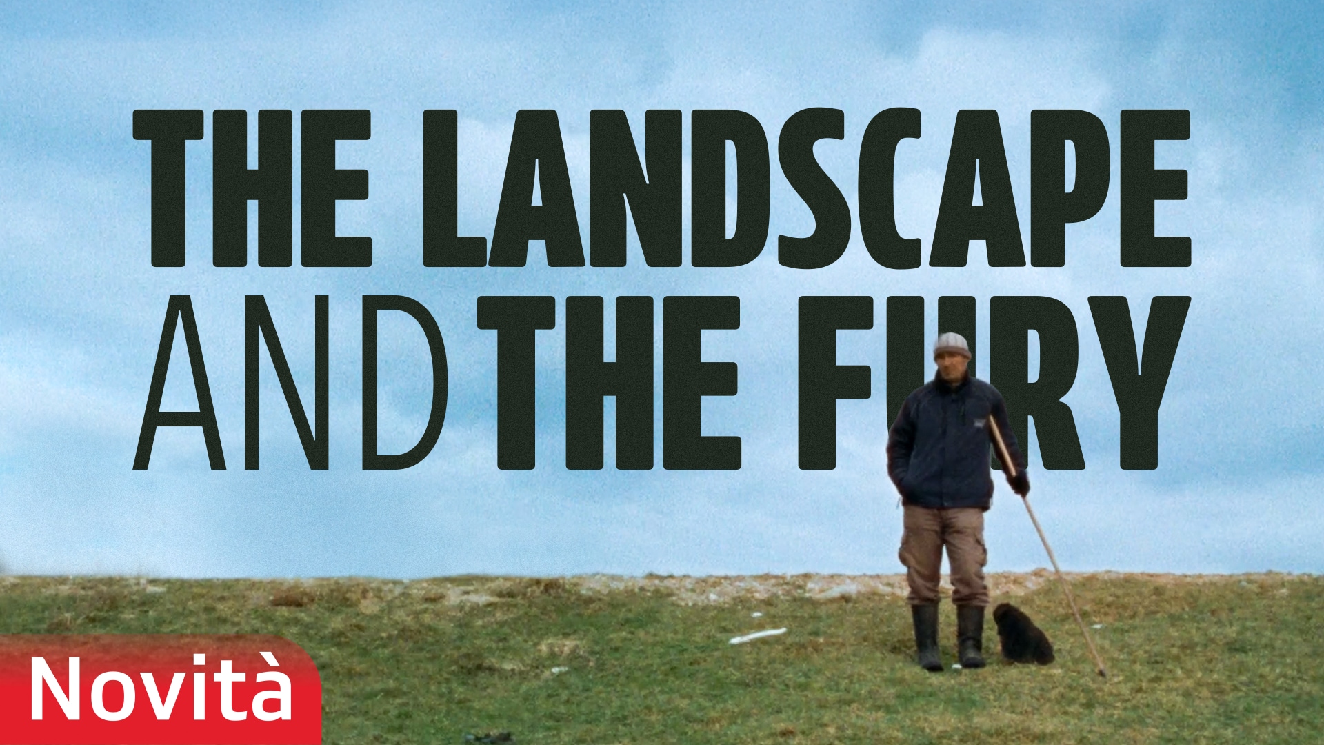 The Landscape and the Fury