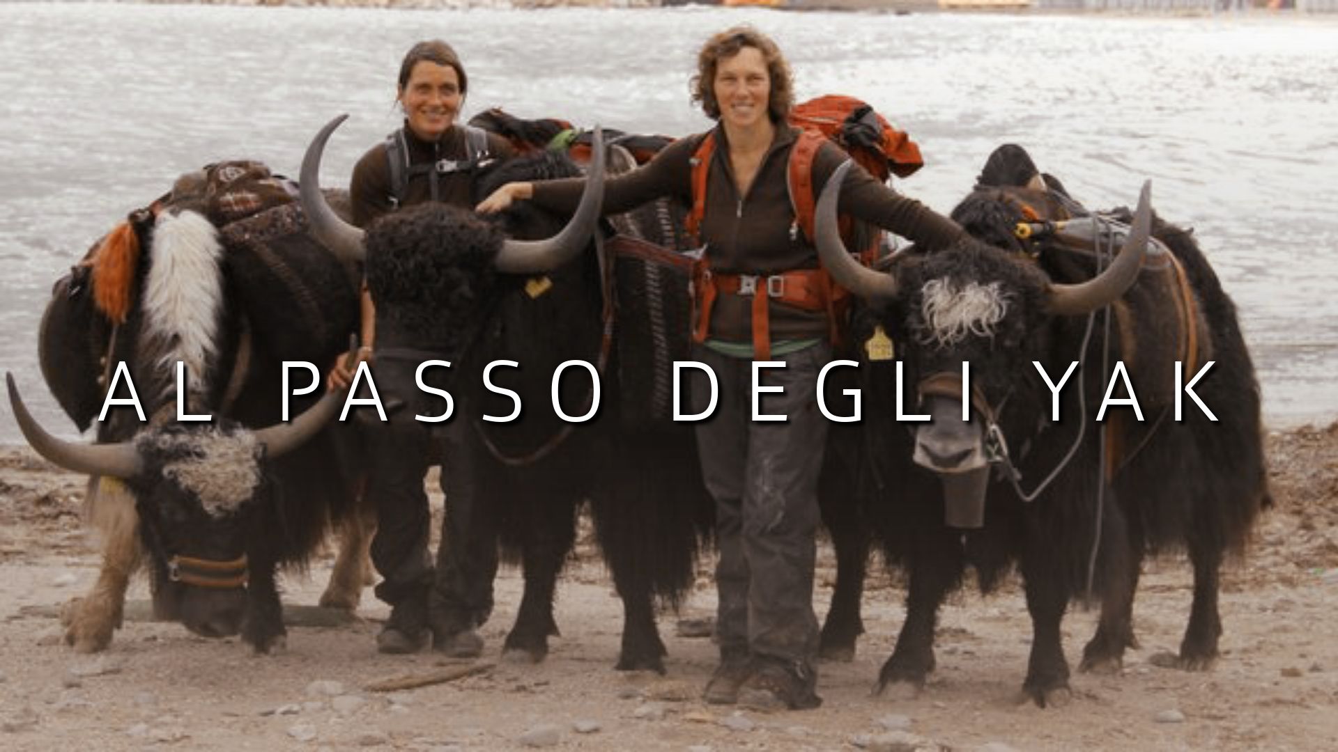 Al passo degli yak