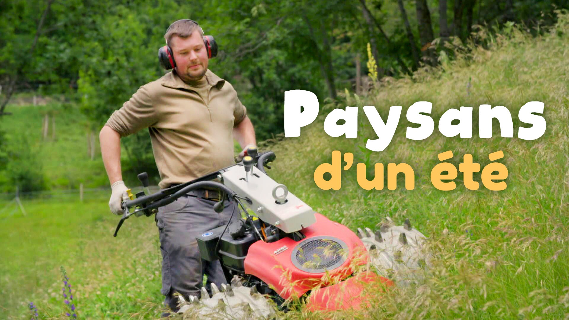 Paysans d'un été