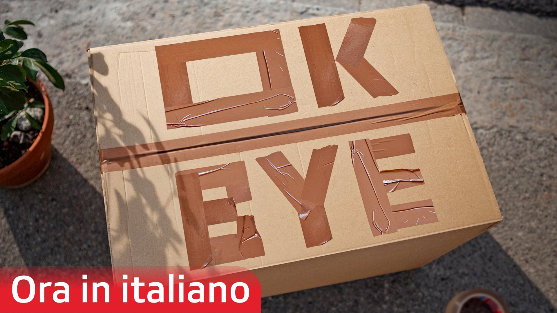 Ok, bye!