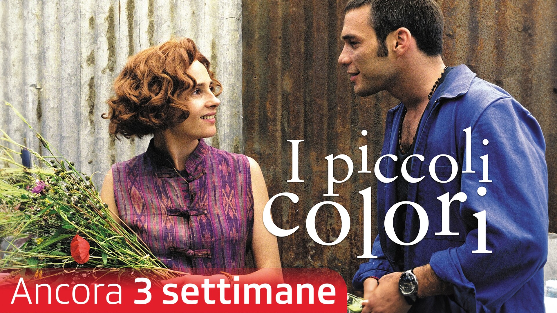 I piccoli colori