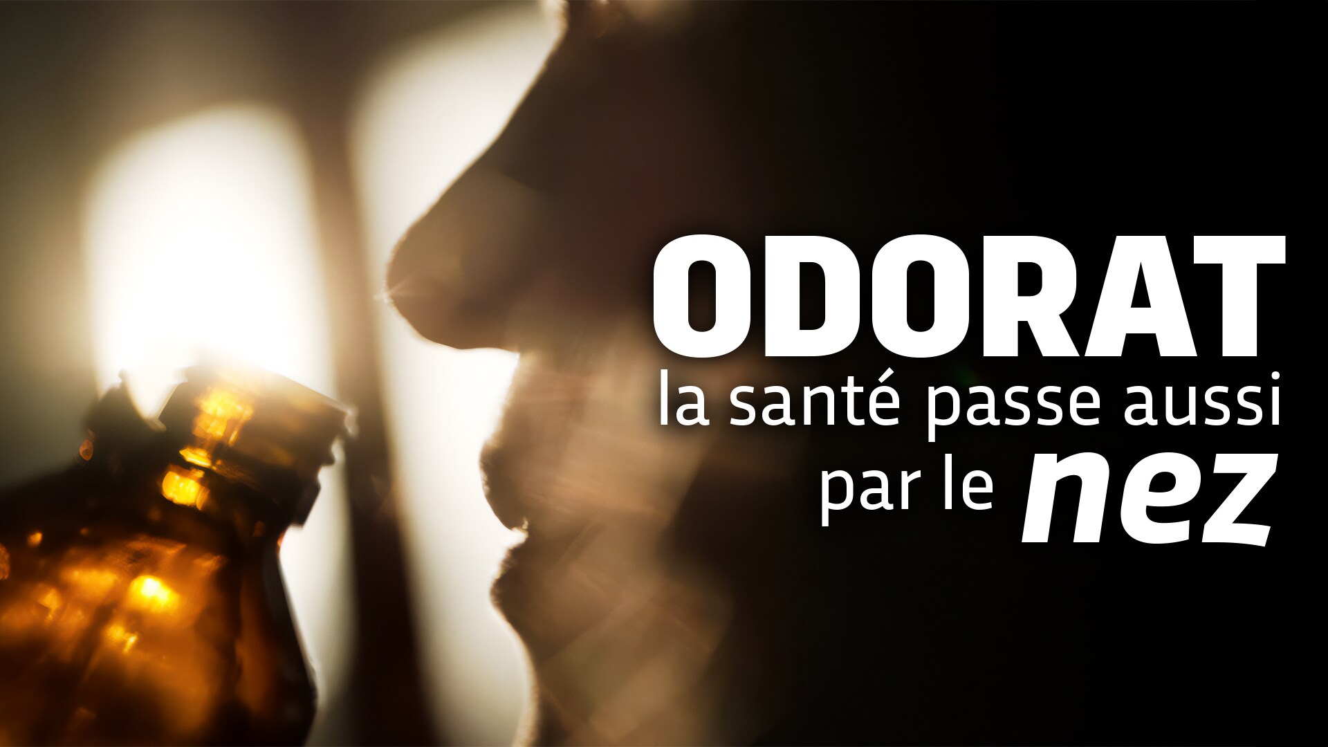 Odorat : la santé passe aussi par le nez