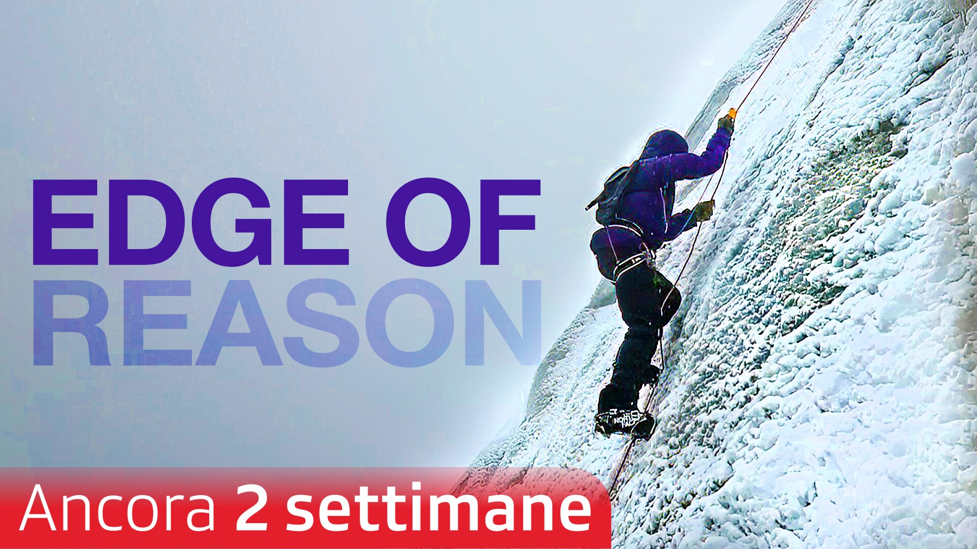 Edge of Reason