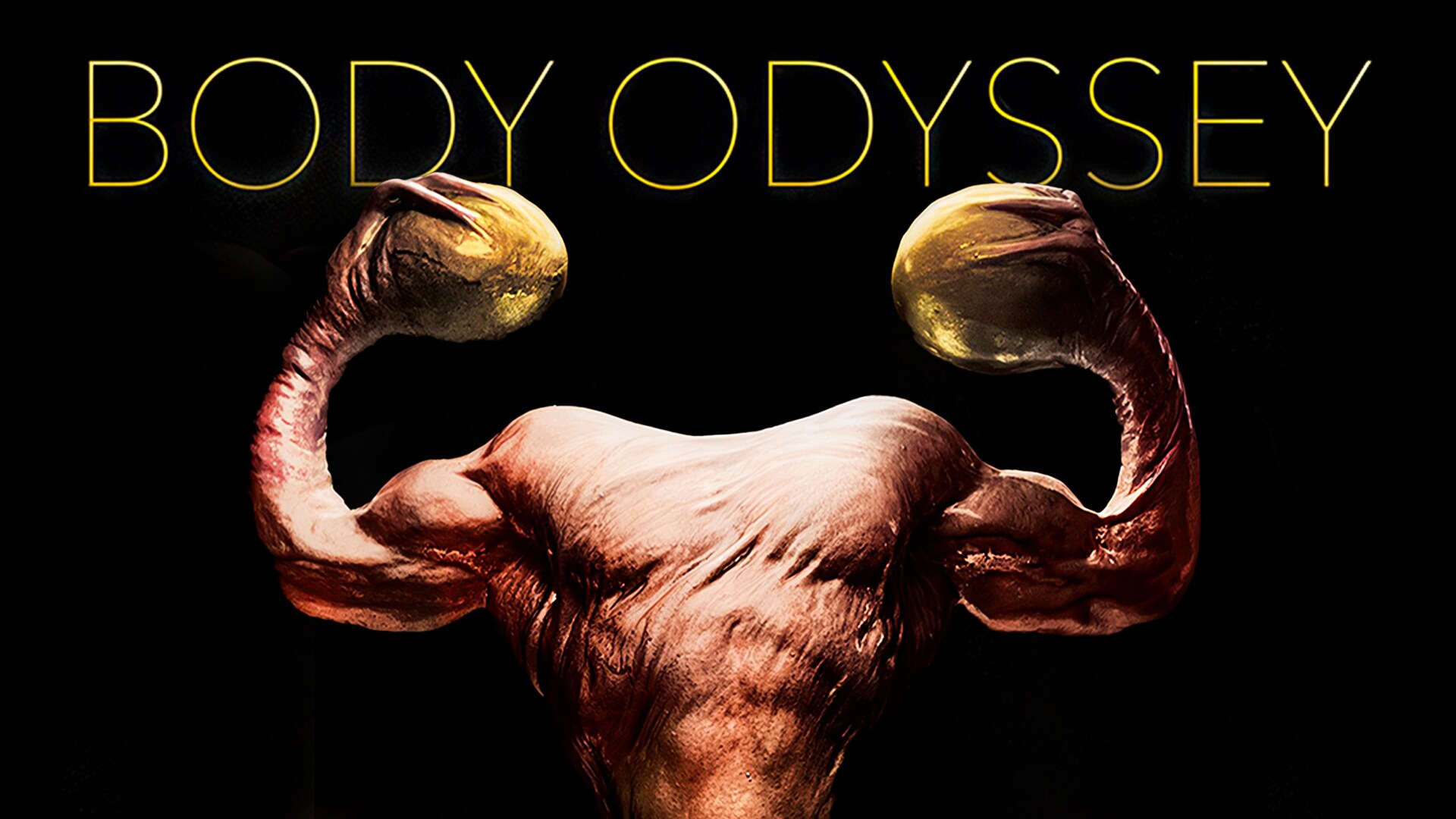 Body Odyssey