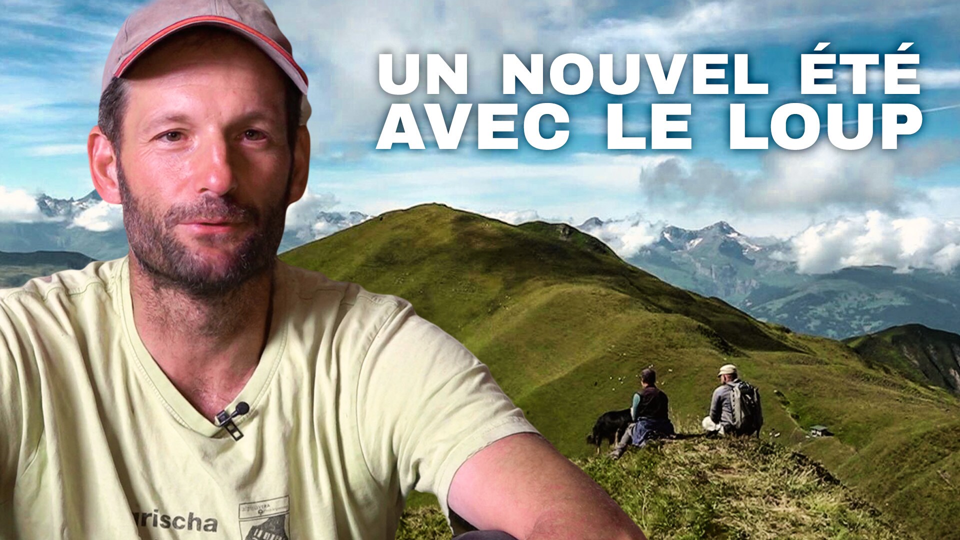 Un été avec le loup