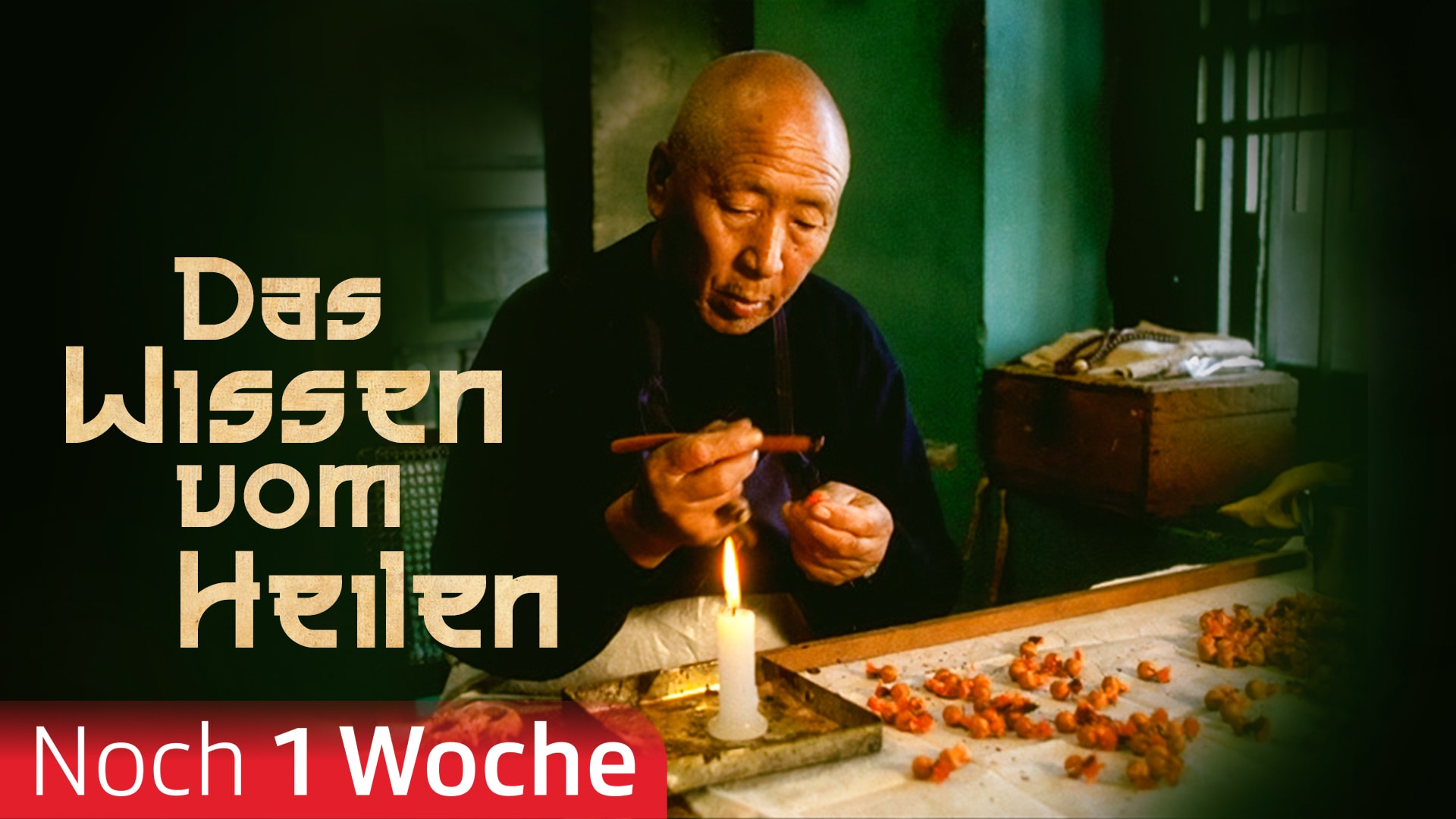 Das Wissen vom Heilen