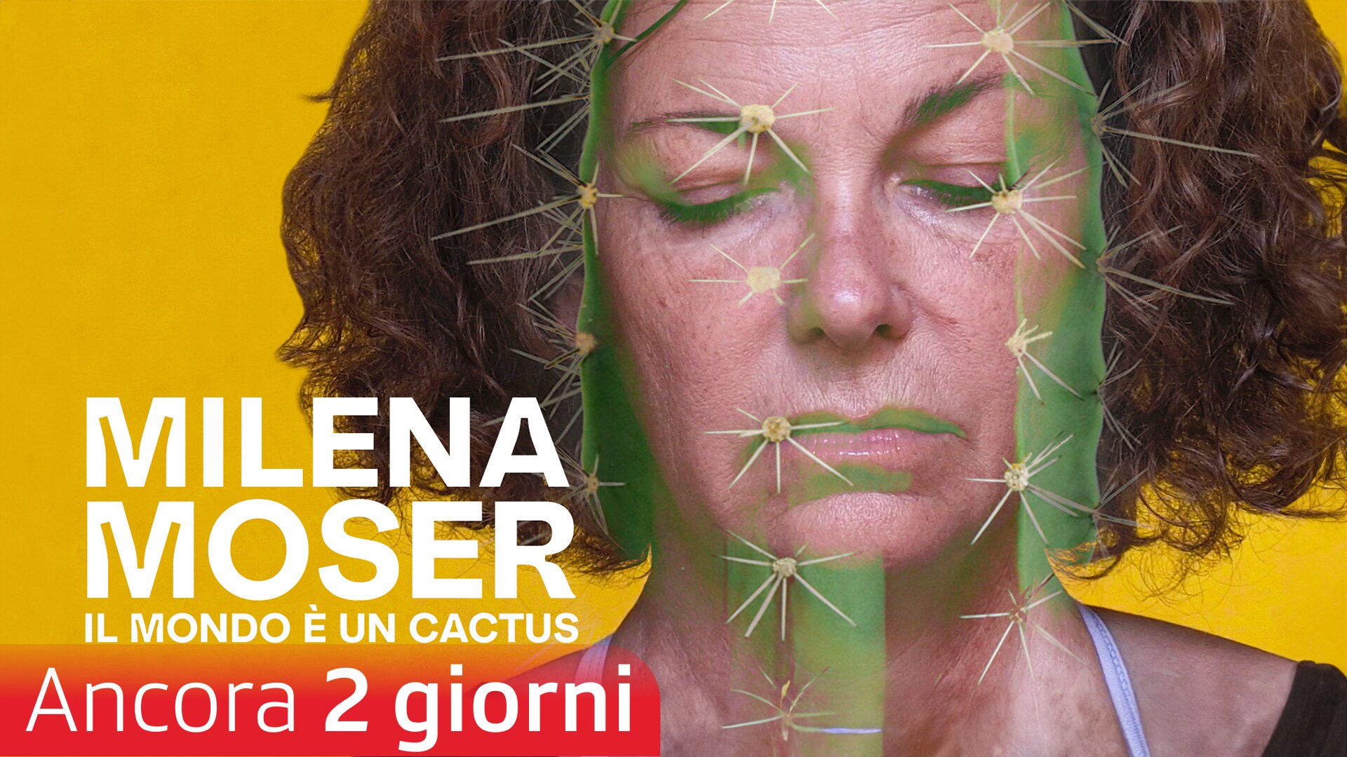 Milena Moser - Il mondo è un cactus